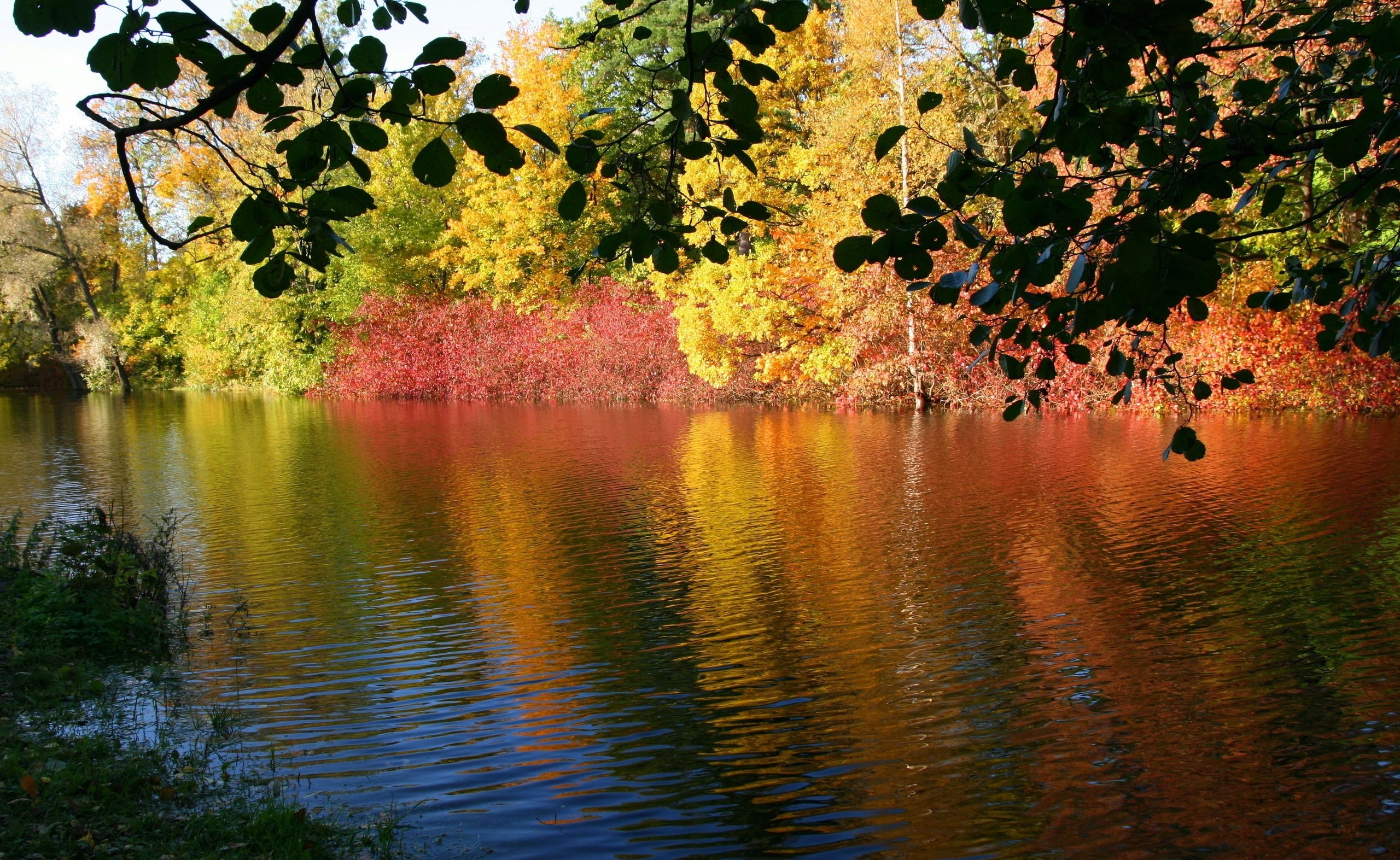 2K, outdoors, water, trees, Seasons, Autumn, photo, tranquility, nature, lake, no people, Fall, plant, orange color, growth, body, branch, day, waterfront, HD Wallpaper