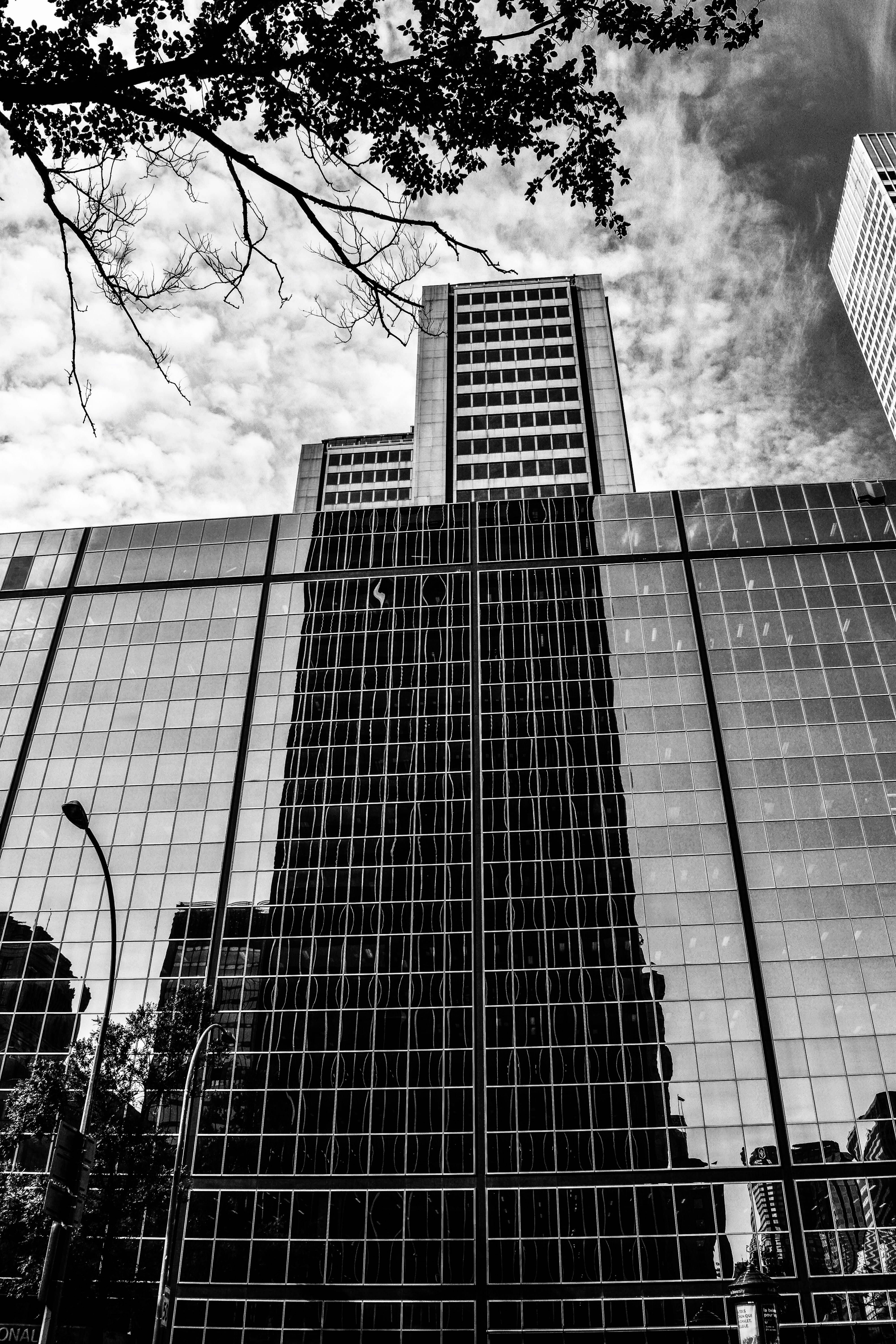 skyscraper, office, office building exterior, canada, tall - high, cloud - sky, plant, nature, built structure, reflexion, blackandwhite, mirror, tower, Phone HD Wallpaper