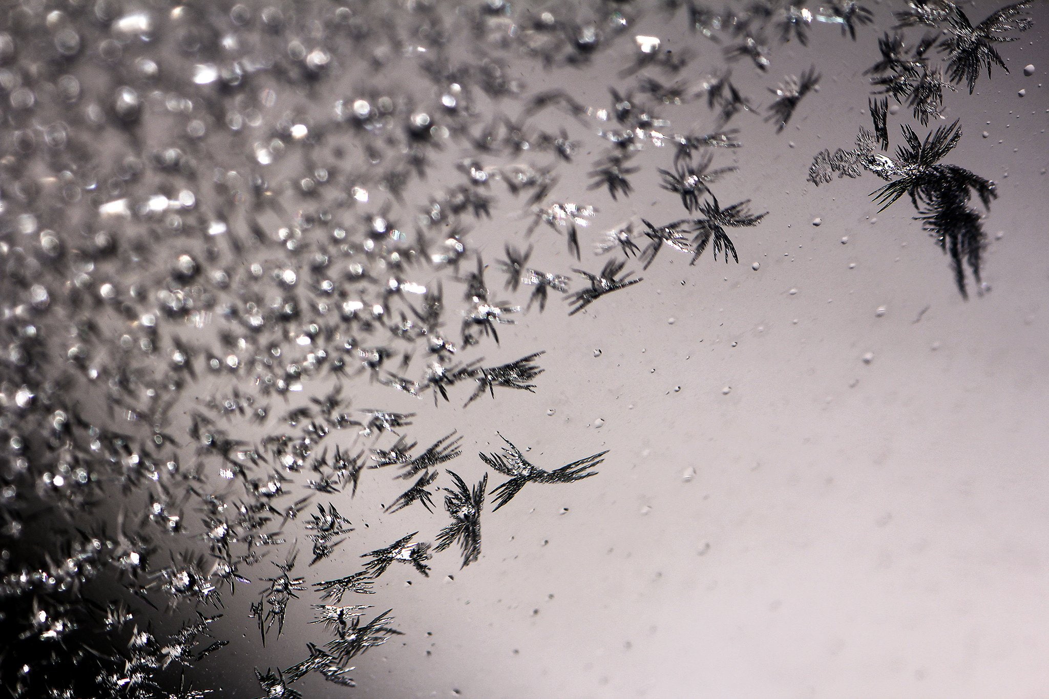 1080P, ice, textures, reflexions, frozen, macro, winter, sculptures, art, water, nature, HD Wallpaper