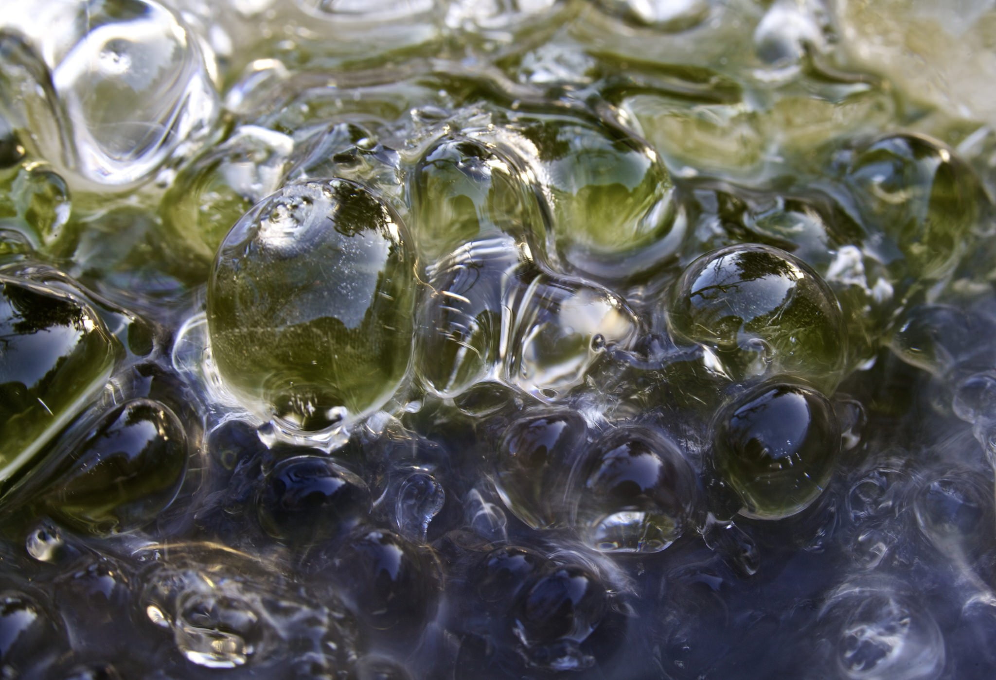 sculptures, nature, macro, winter, water, reflexions, ice, frozen, art, textures, 1080P, HD Wallpaper