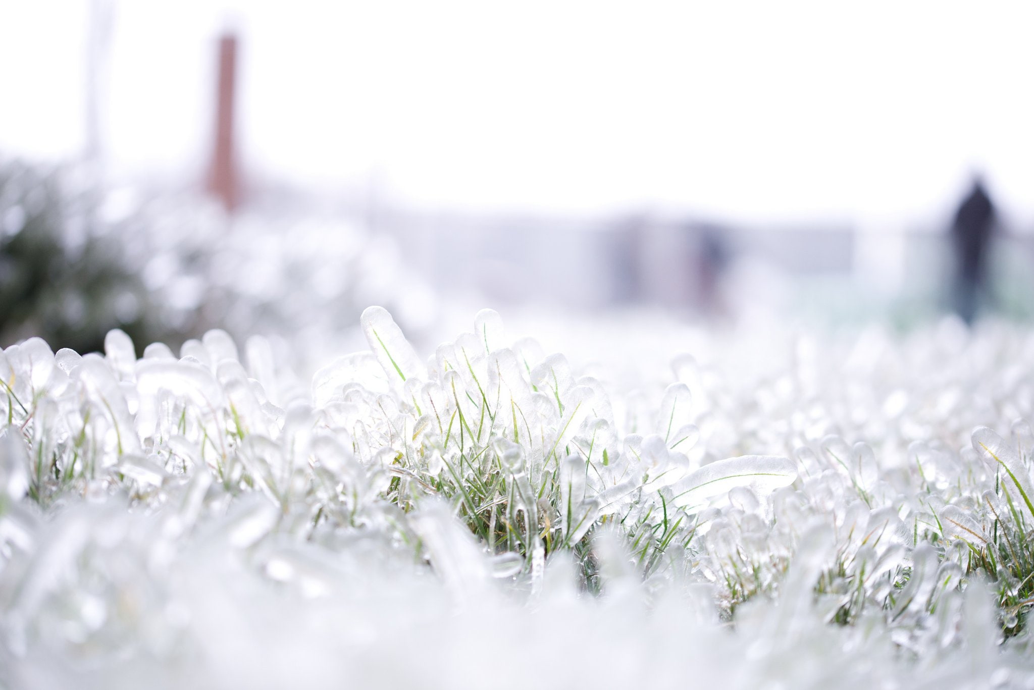 winter, macro, ice, water, art, reflexions, frozen, textures, sculptures, 1080P, nature, HD Wallpaper