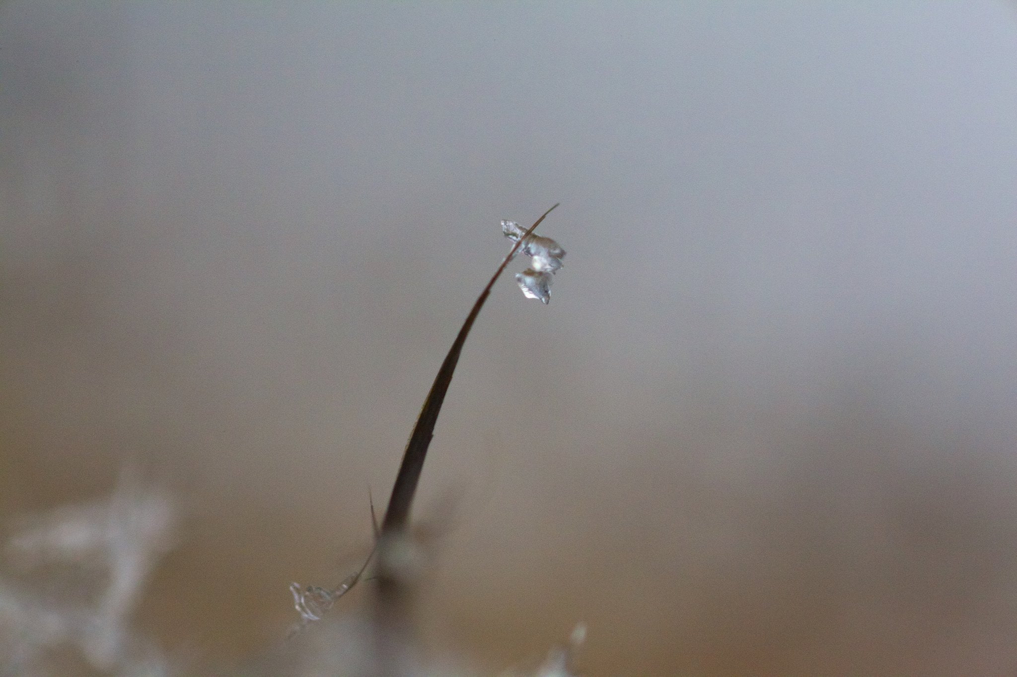 winter, water, macro, nature, sculptures, art, reflexions, frozen, textures, 1080P, ice, HD Wallpaper