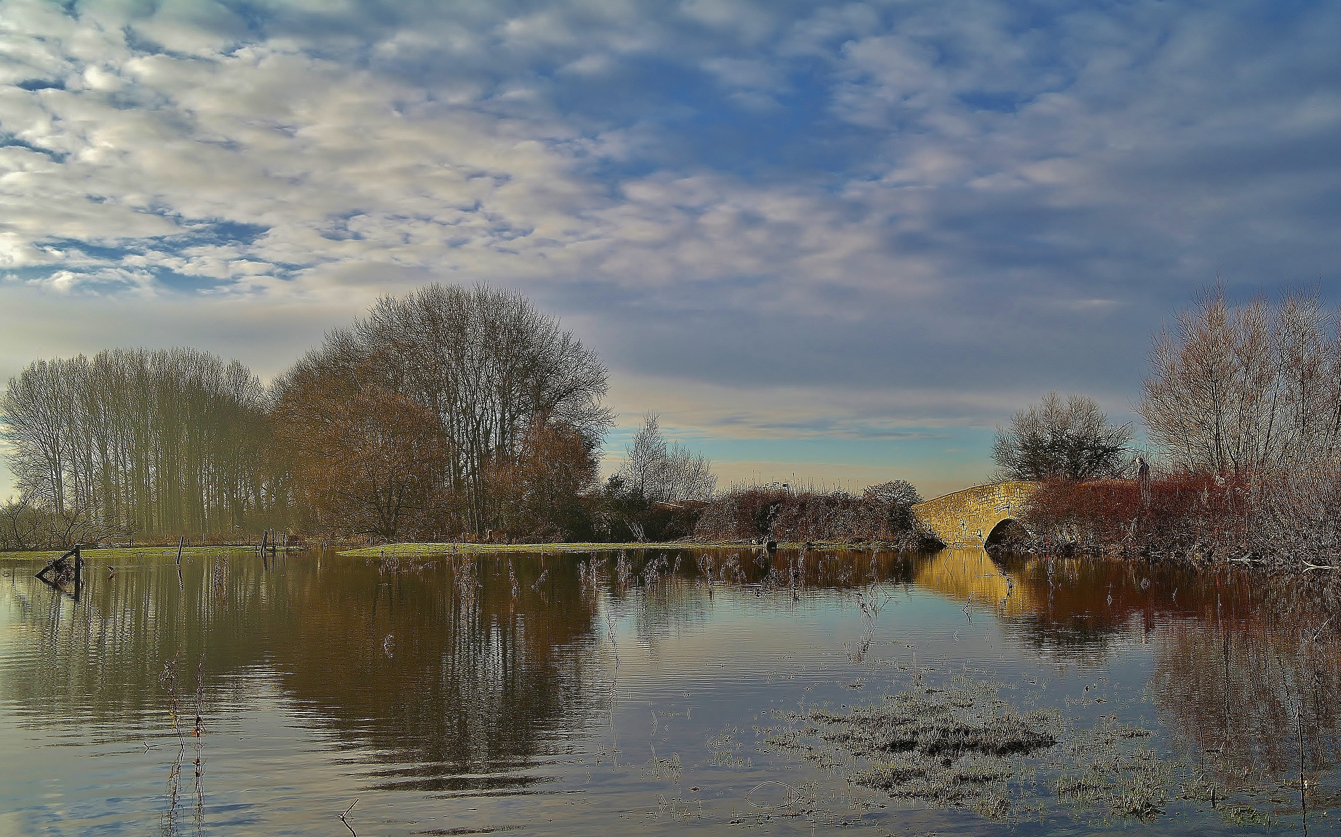 landscape, non-urban scene, lake, winter, cloud - sky, calm, bare tree, plant, sky, outdoors, no people, 4K, tree, floating on water, tranquility, quiet, HD Wallpaper