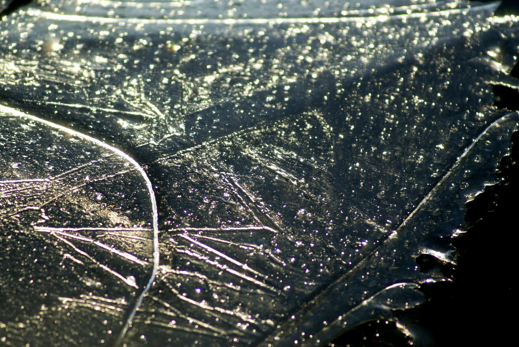 frozen, winter, textures, ice, water, nature, macro, sculptures, art, reflexions, 1080P, HD Wallpaper