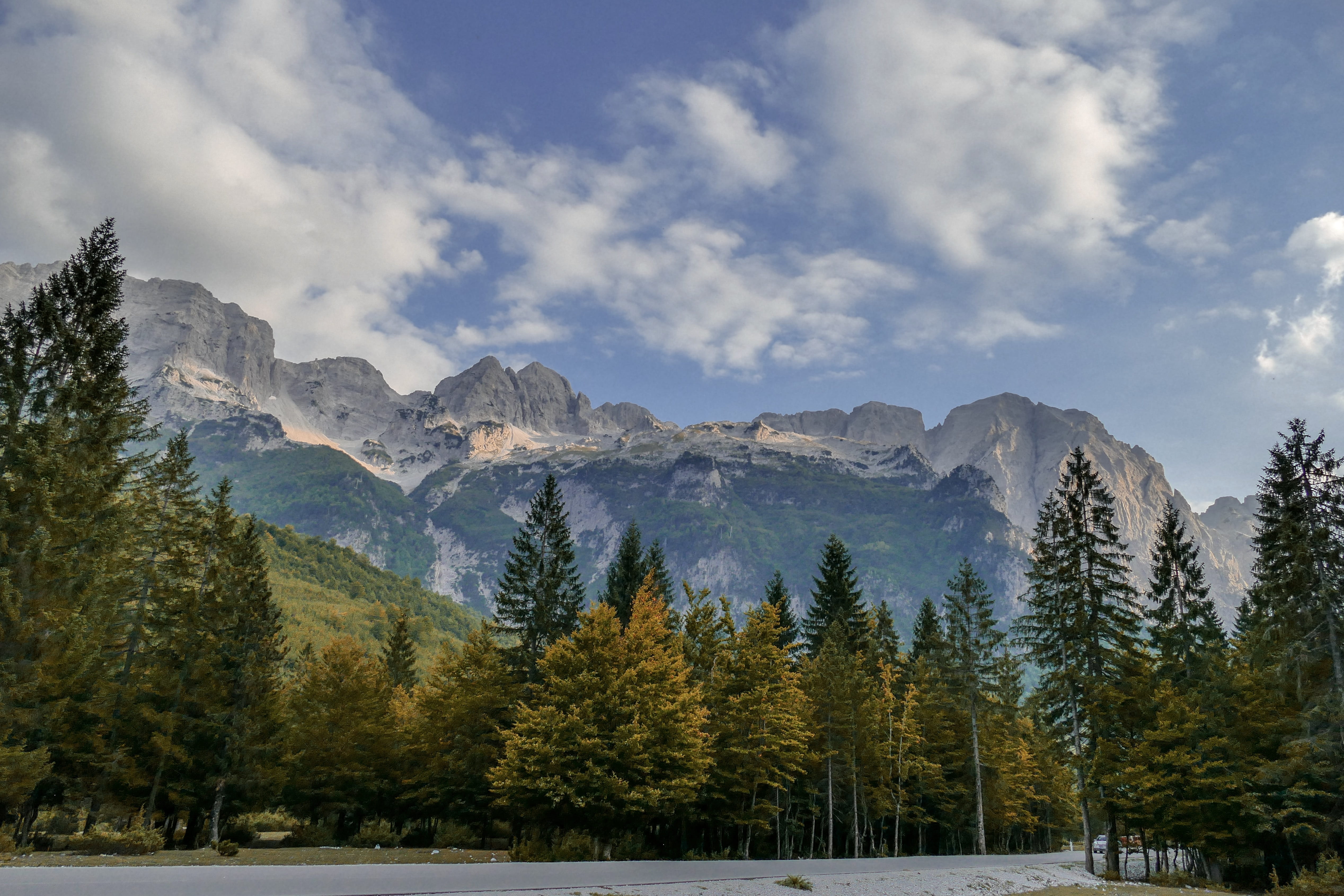 morning valbona, non-urban scene, coniferous tree, snow, outdoor, nature, tree, plant, mountain peak, cloud - sky, scenics - nature, environment, 4K, winter, HD Wallpaper