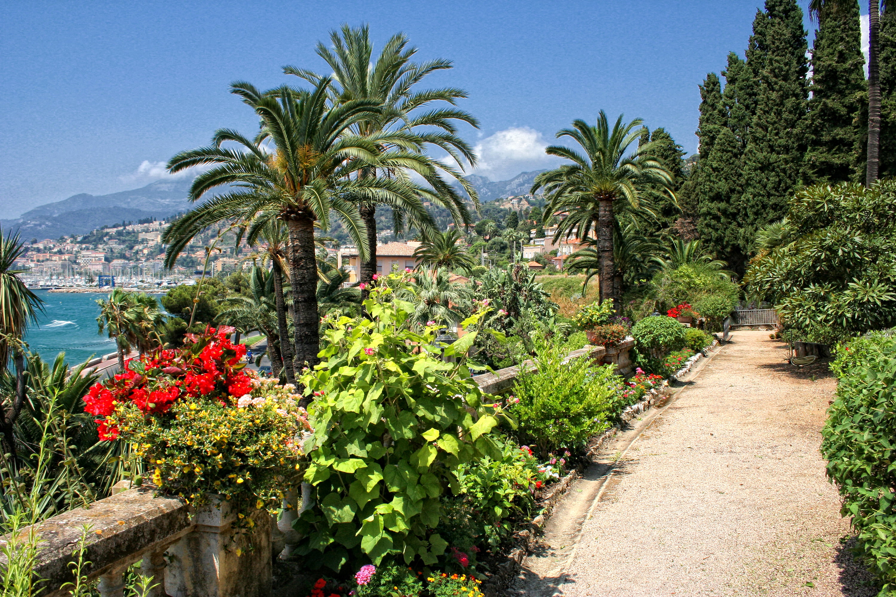sea, the city, palm trees, sunlight, water, tranquility, flower, flowers, day, Menton, the bushes, view, the sun, palm tree, flowering plant, outdoors, HD Wallpaper