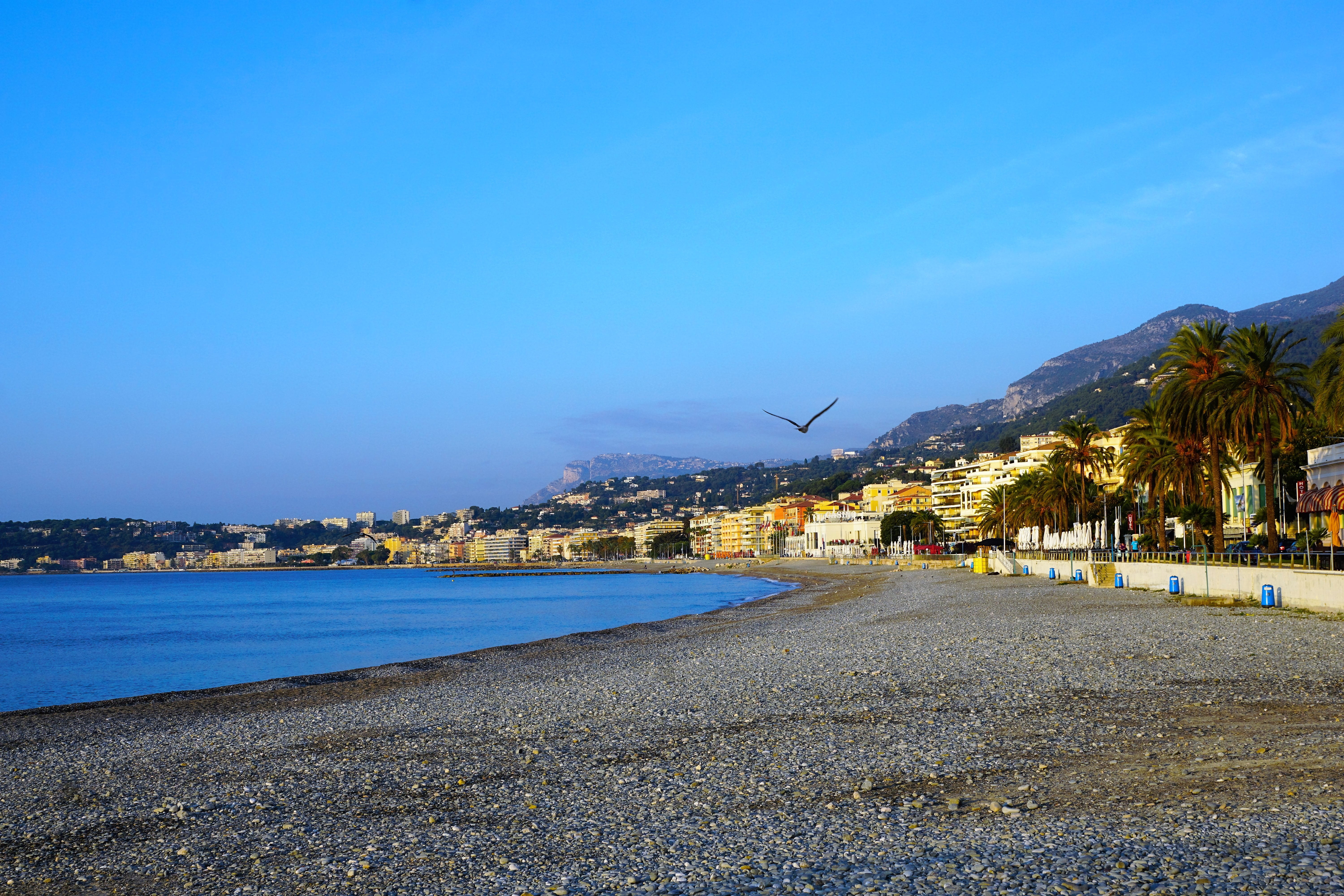 old town, sea, nature, palm trees, beauty in nature, 5K, day, maritime, more, riviera, tree, sky, places of interest, tourism, scenics - nature, travel, HD Wallpaper