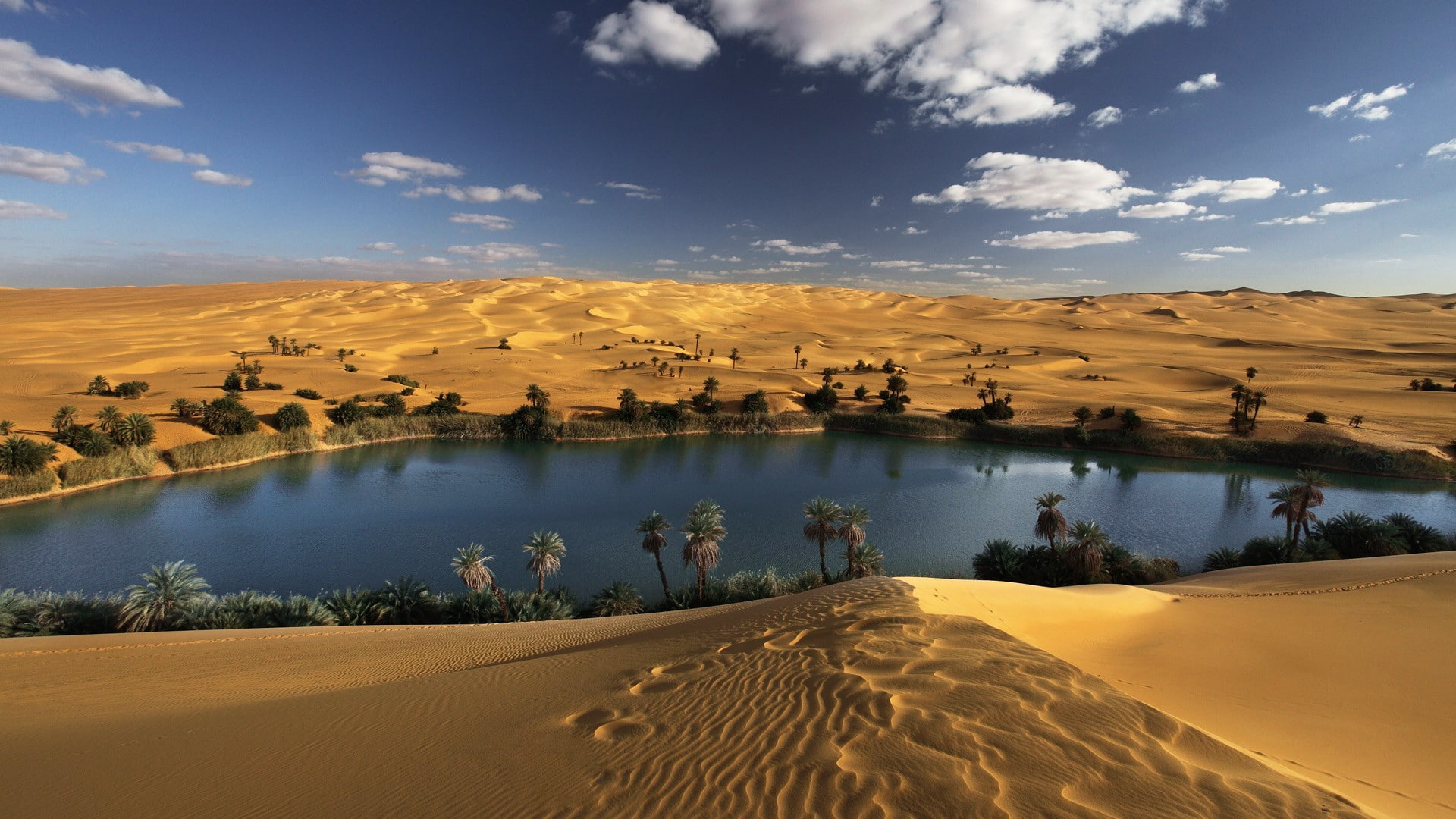 land, sky, Oases, sand, Oasis, landscape, tranquil scene, Palm Trees, scenics - nature, tranquility, idyllic, remote, water, Desert, arid climate, day, HD Wallpaper