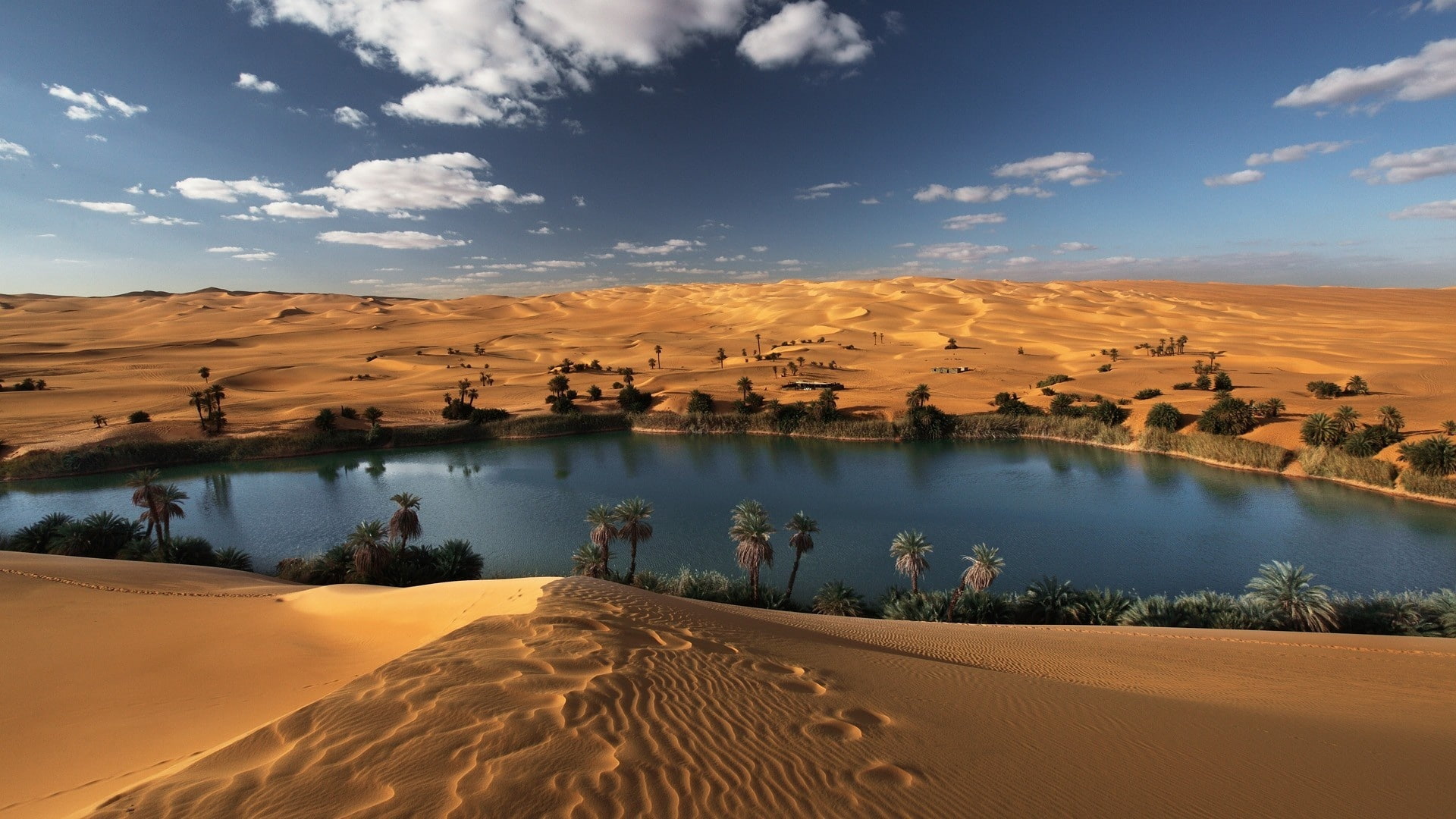 1080P, Sands, oasis, libyan, desert, sahara, HD Wallpaper