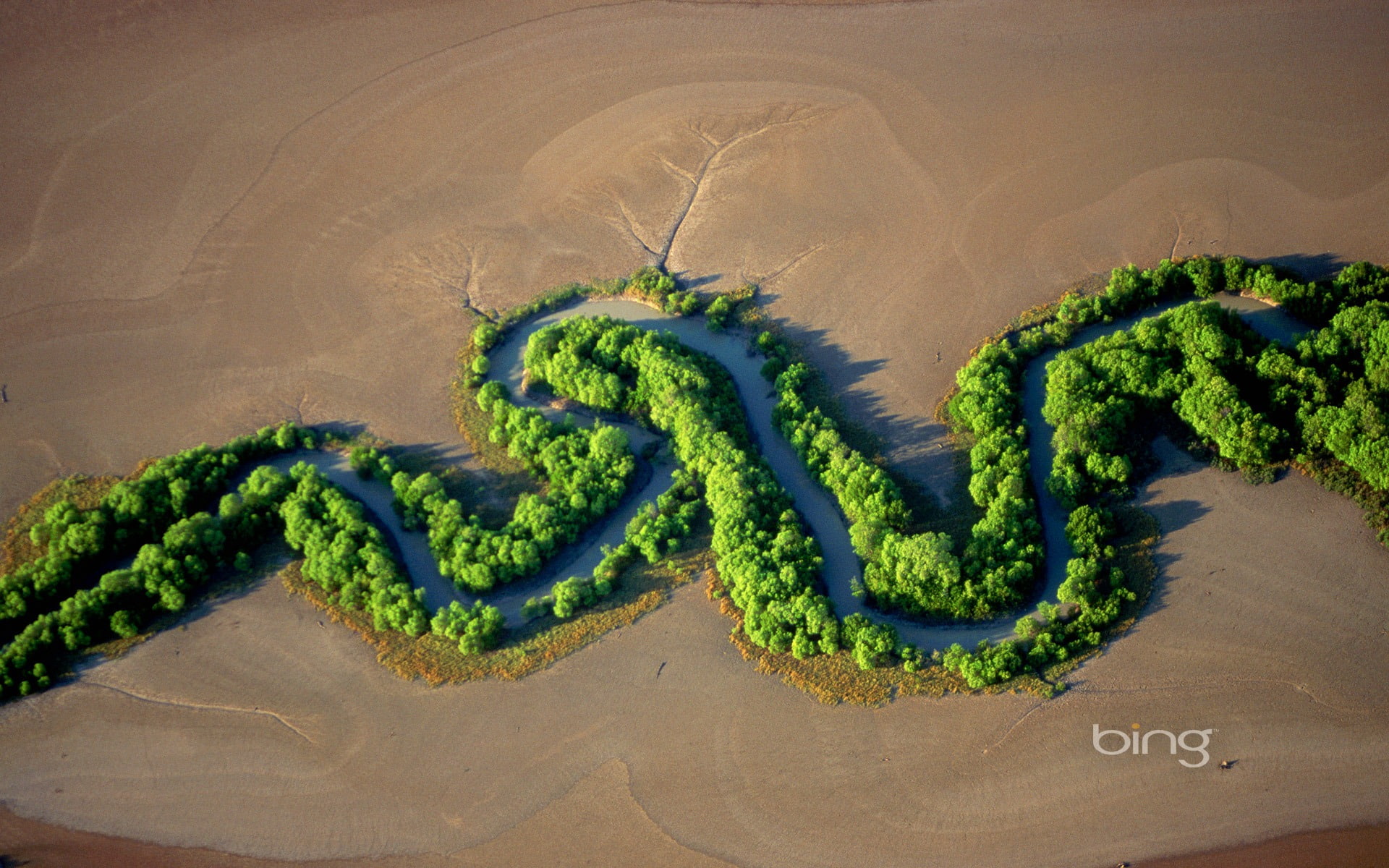 land, environment, desert, creativity, river, high angle view, scenics - nature, green color, outdoors, beauty in nature, growth, tree, day, 1080P, oasis, HD Wallpaper