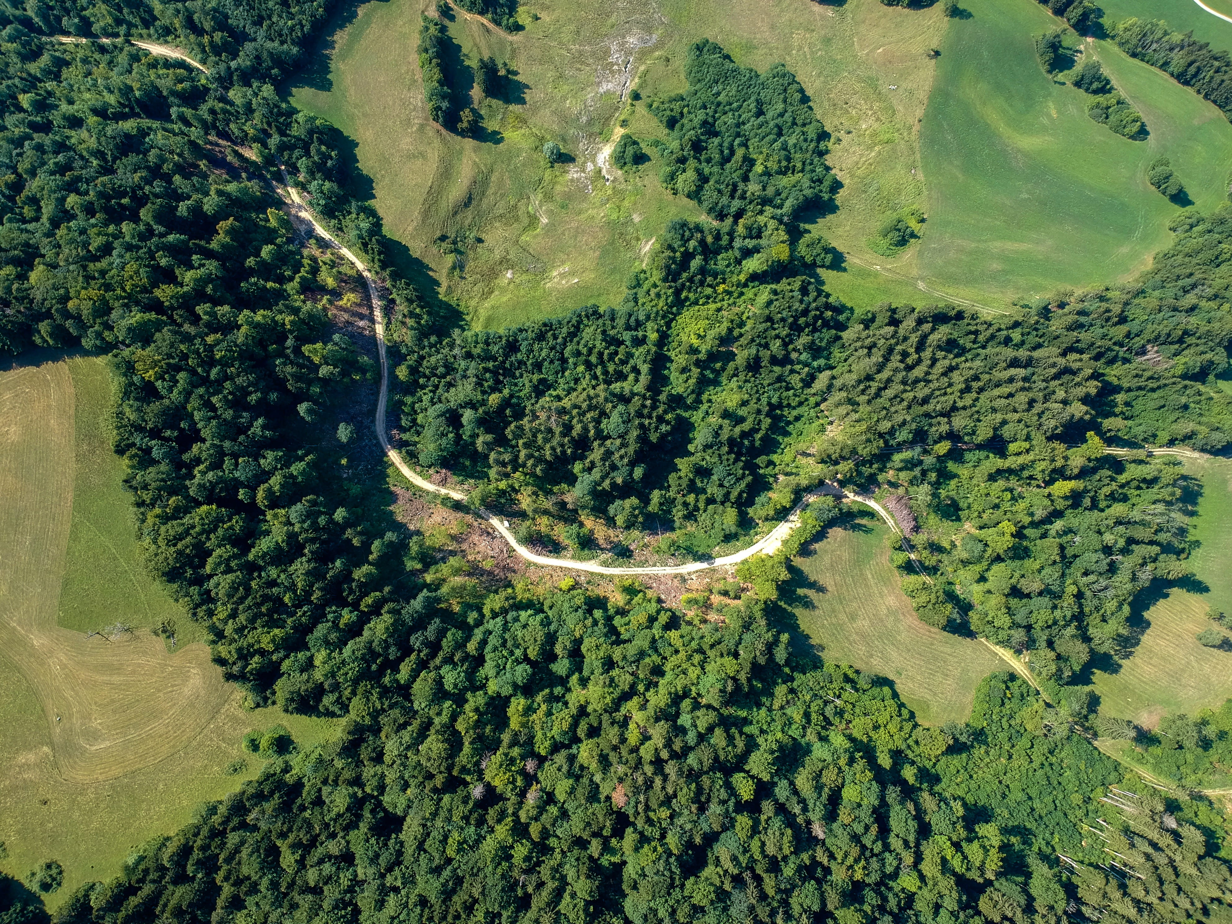 land, looking down, plant, view, outdoors, non-urban scene, environment, trees, no people, tree, woodland, high angle view, road, growth, nature, countryside, HD Wallpaper