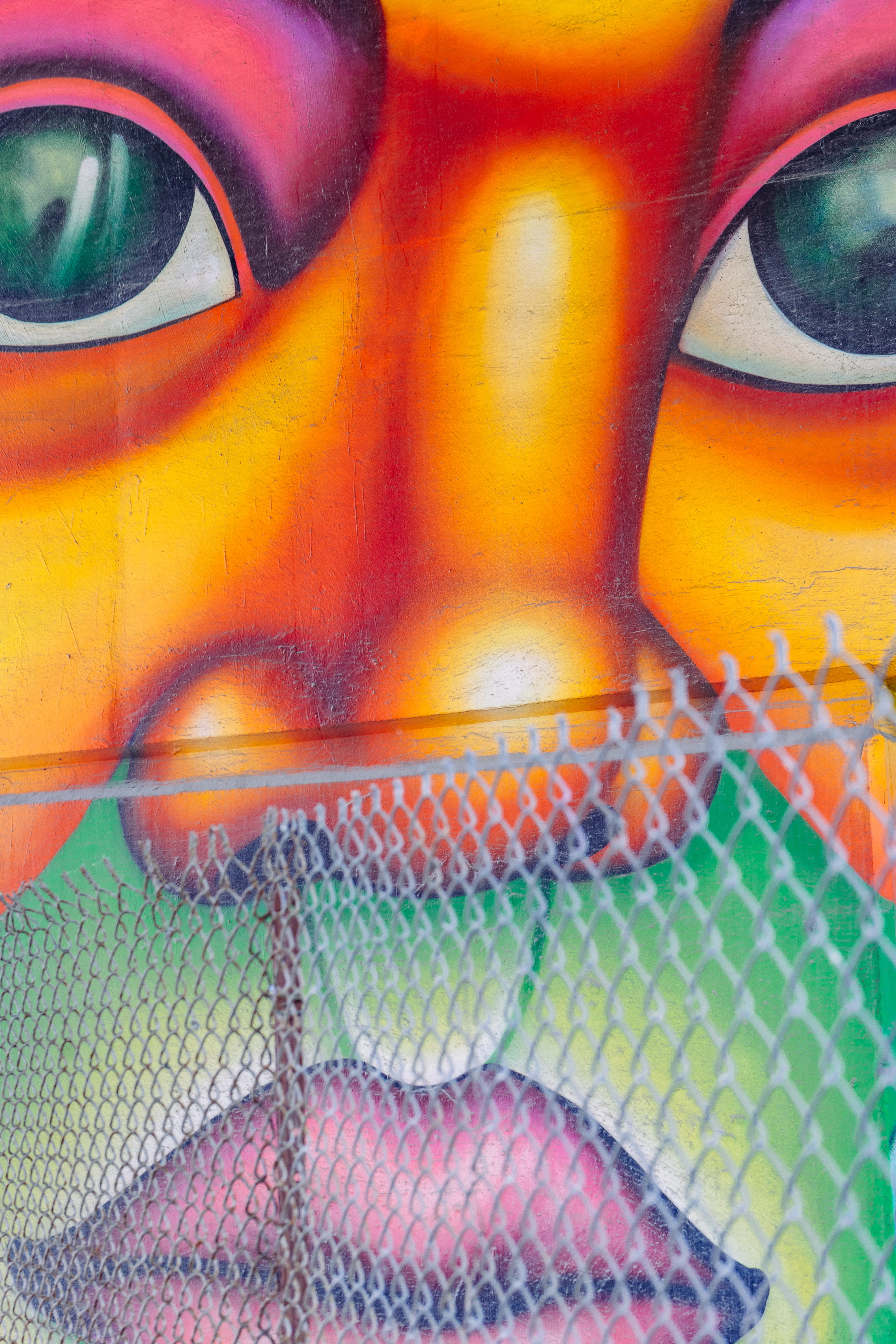 no people, 5K, close-up, protection, multi Colored, human Face, graffiti, extreme close-up, orange, mode of transportation, person, orange color, wire mesh, Phone HD Wallpaper