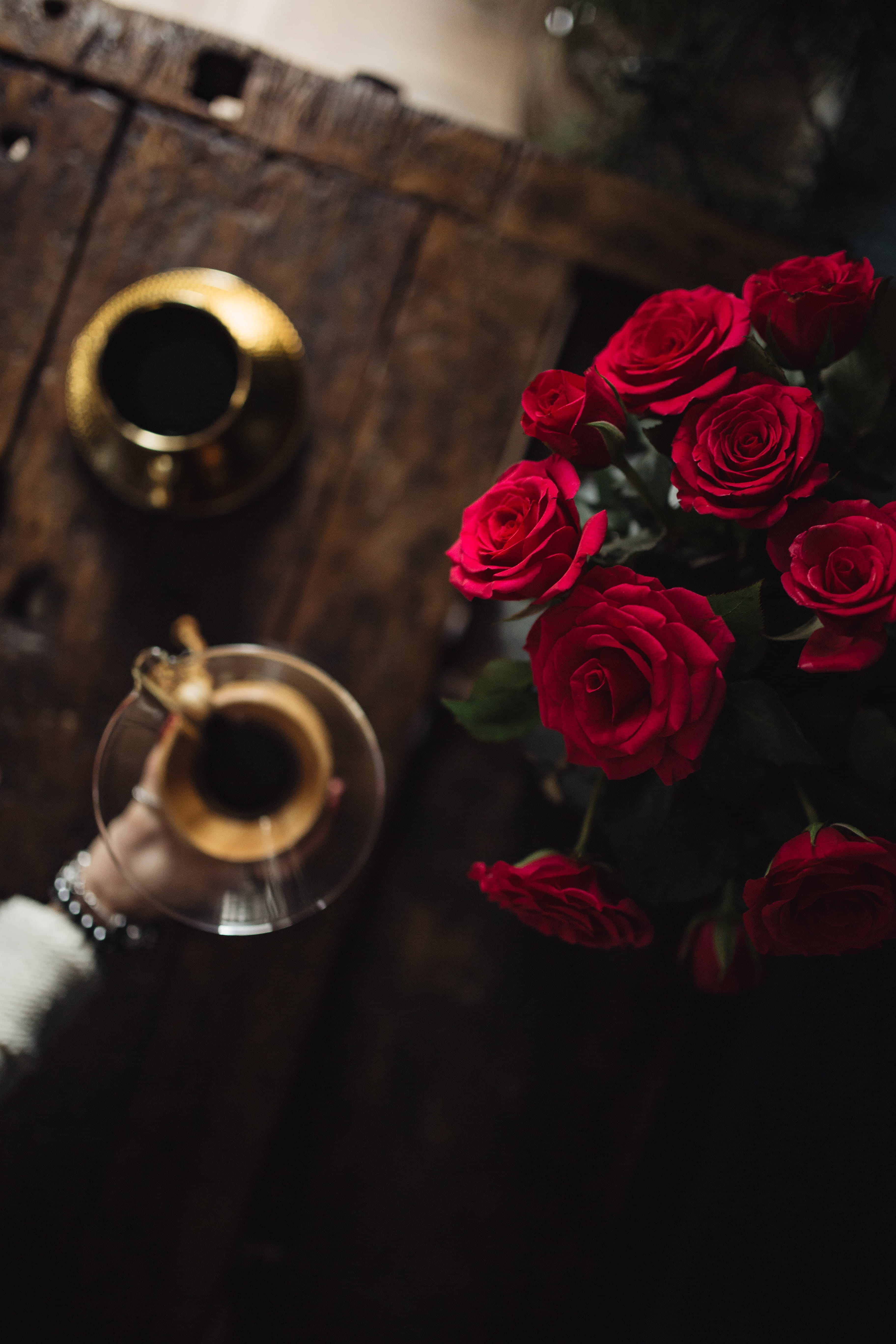rose, brewed, table, female, girl, bouquet, young, playing, rose - flower, finely, dog, flower head, woman, freshness, drink, beauty in nature, flower, Phone HD Wallpaper