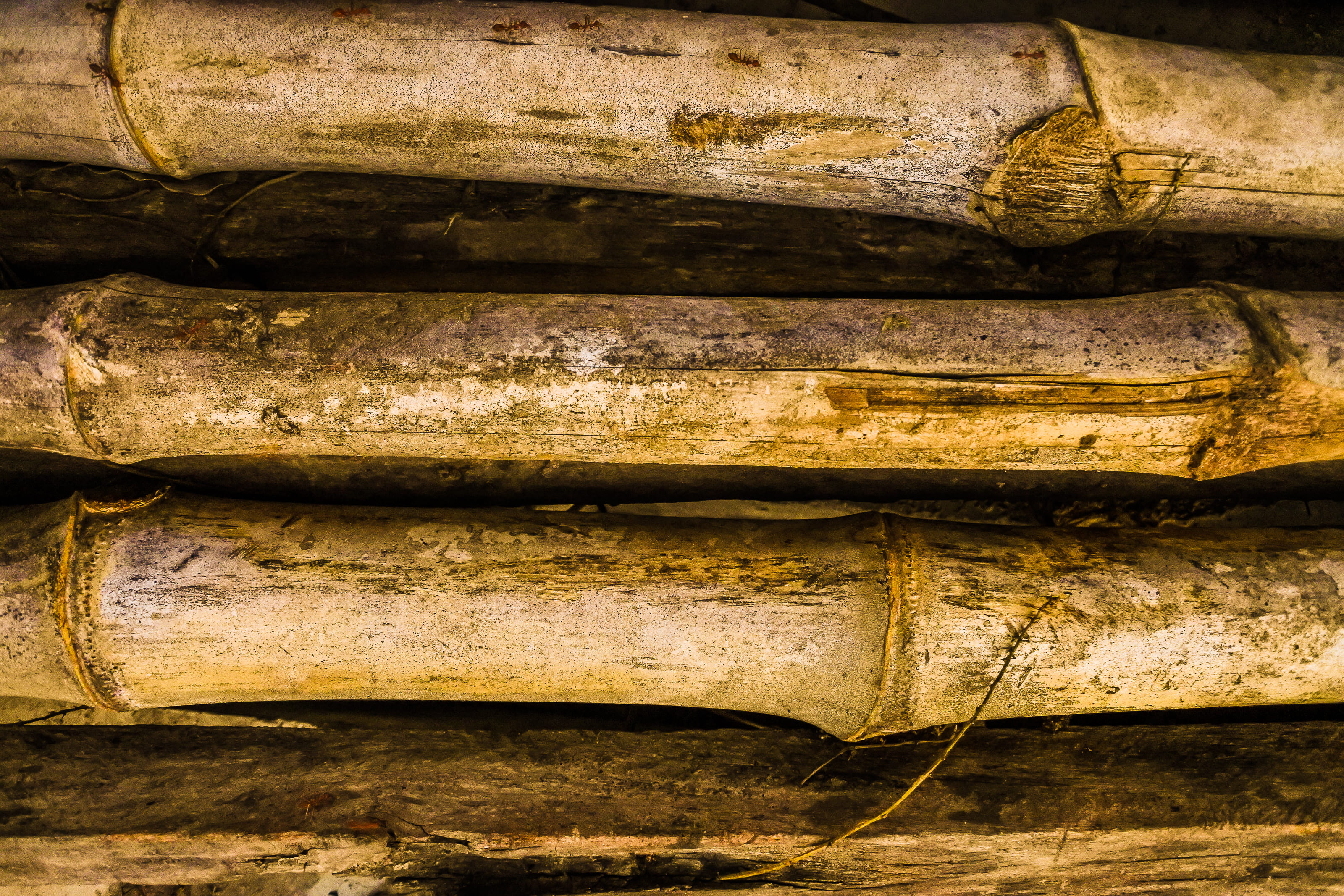 indoors, grunge, natural, detail, black, old, tree, wood - material, bamboo, dark, wooden, bark, timber, architecture, log, rustic, four, antique, material, HD Wallpaper