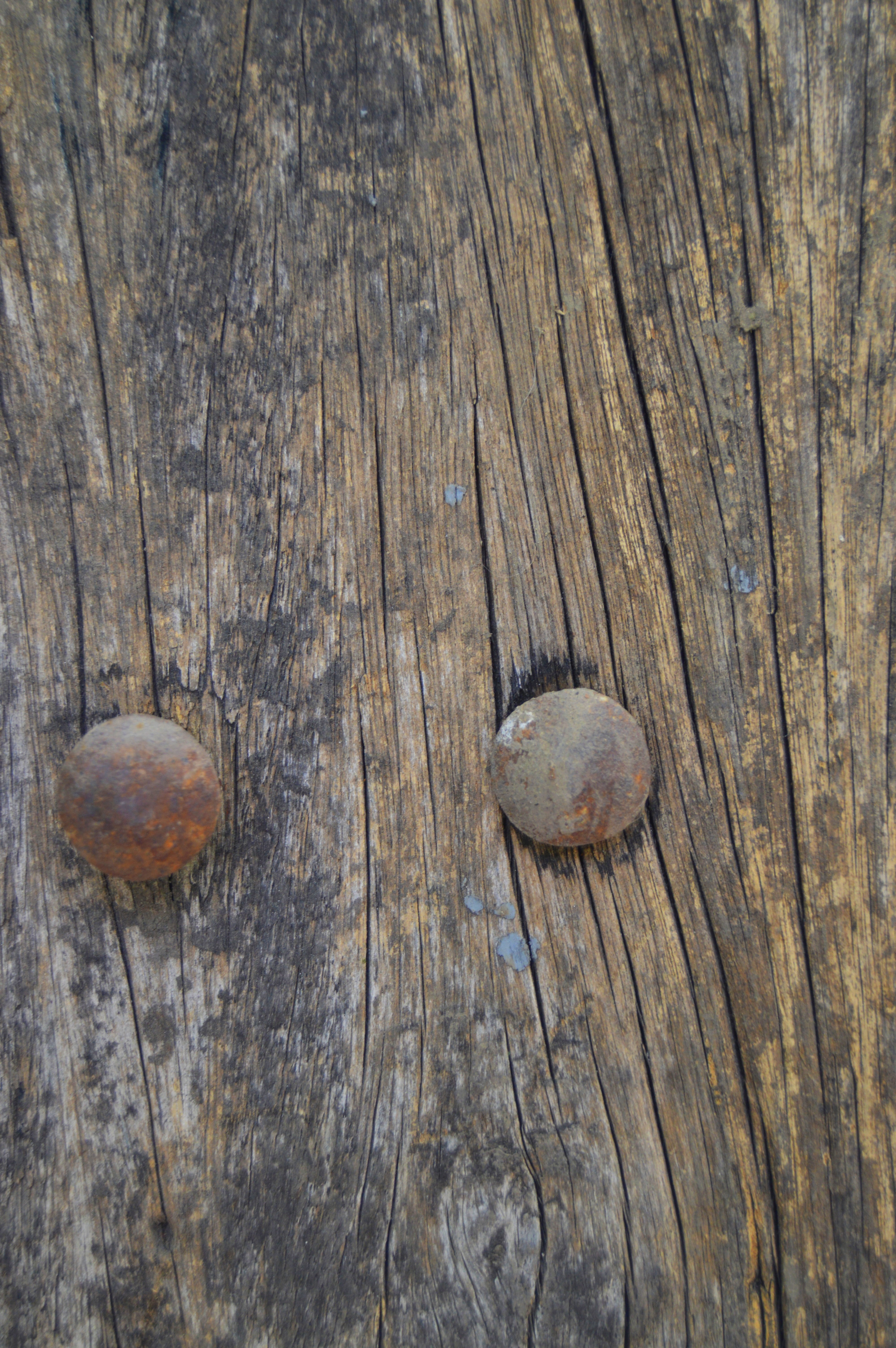 textured, natural, object, natural pattern, macro, effect, backgrounds, close-up, nature, panel, black, 5K, timber, surface, cracked, rustic, mushroom, Phone HD Wallpaper
