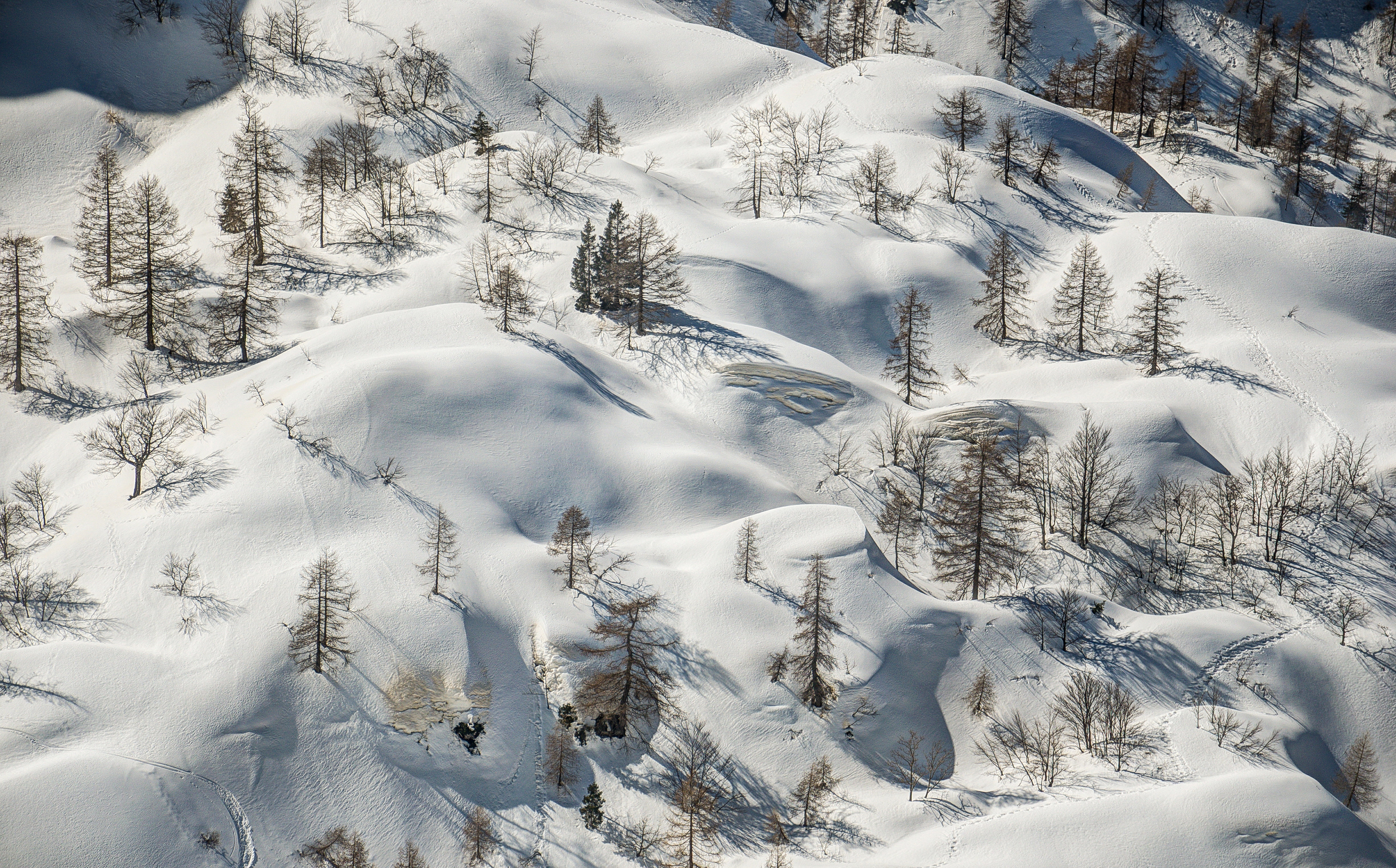 high angle view, tree, scenics - nature, coniferous tree, the area, day, trees, covering, snowcapped mountain, uneven, land, winter, the view from the top, HD Wallpaper