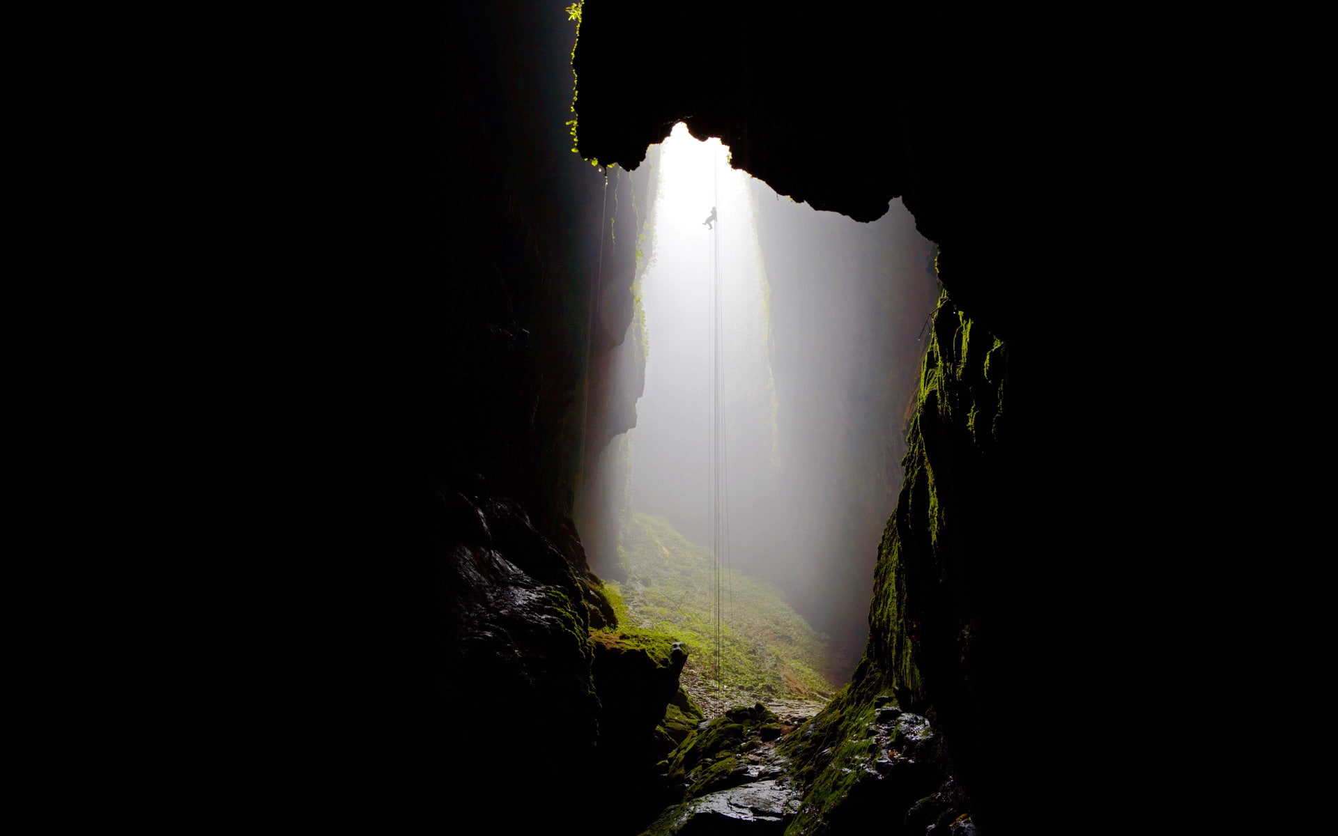 fog, New Zealand, 1080P, Levin, cave, HD Wallpaper