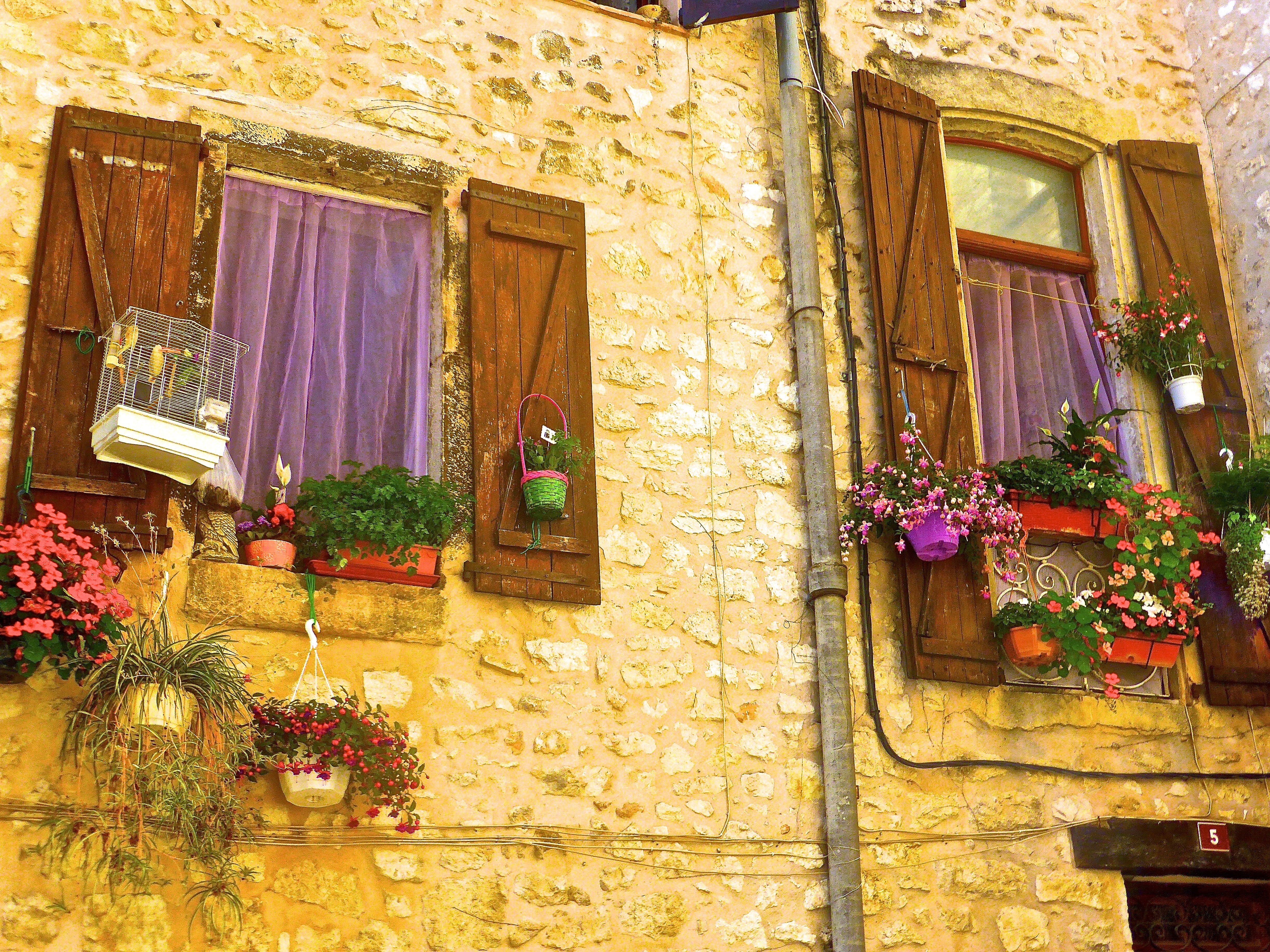 hanging, wood, street, house, flowering plant, no people, flower pot, building, day, residential, building exterior, nature, facade, cultures, exterior, HD Wallpaper