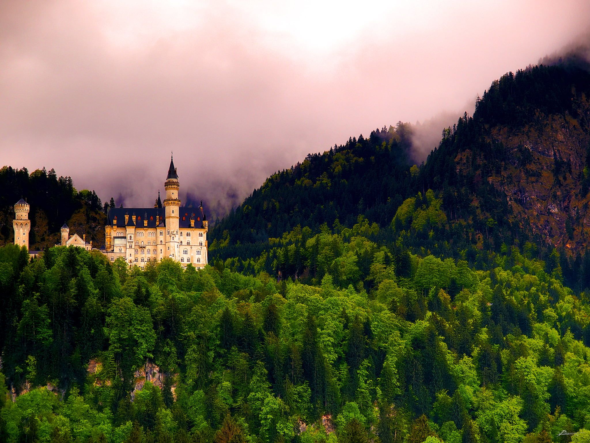 Germany, mountains, Ostallgäu, famous Place, photo, district, Bavaria, tree, dex, neuschwanstein, landscape, travel, Füssen, architecture, green  rain, HD Wallpaper