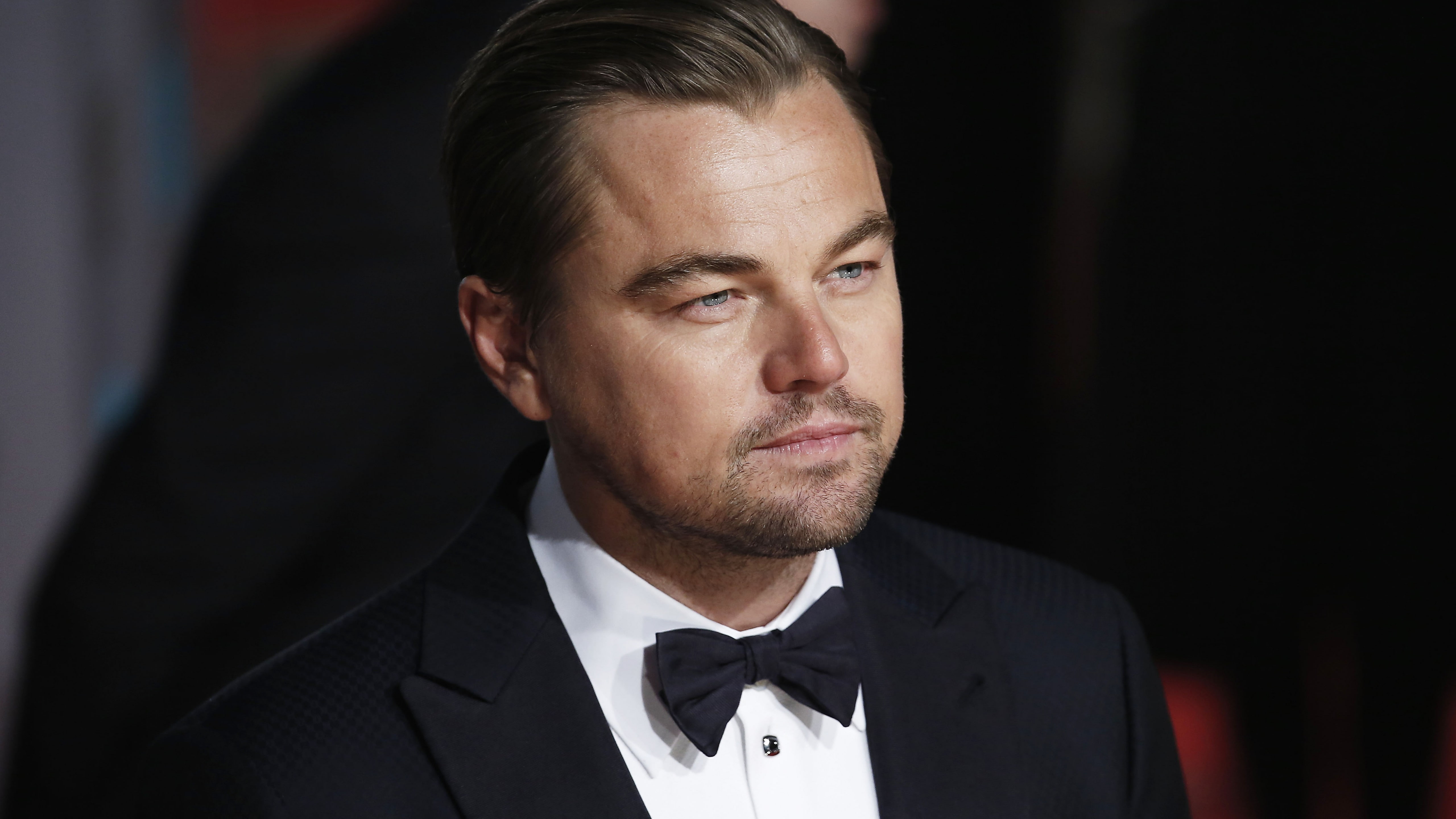 5K, Oscar 2016, Most popular celebs, Oscar, actor, Leonardo DiCaprio, HD Wallpaper