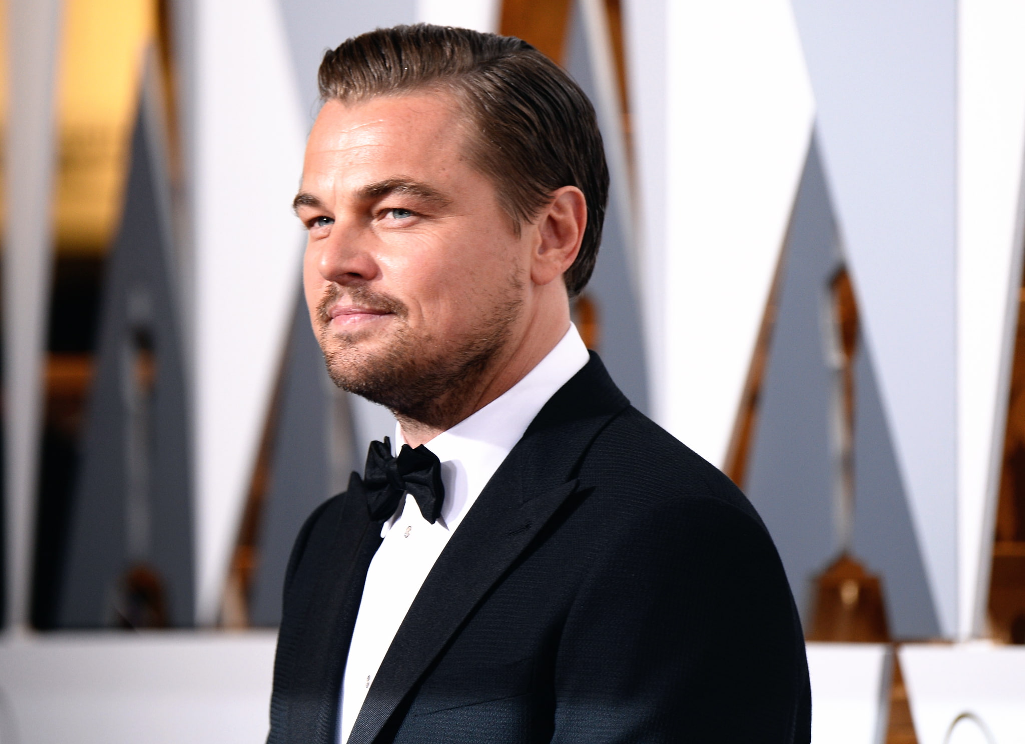 1080P, OSCARS, Leonardo DiCaprio, 2016, HD Wallpaper