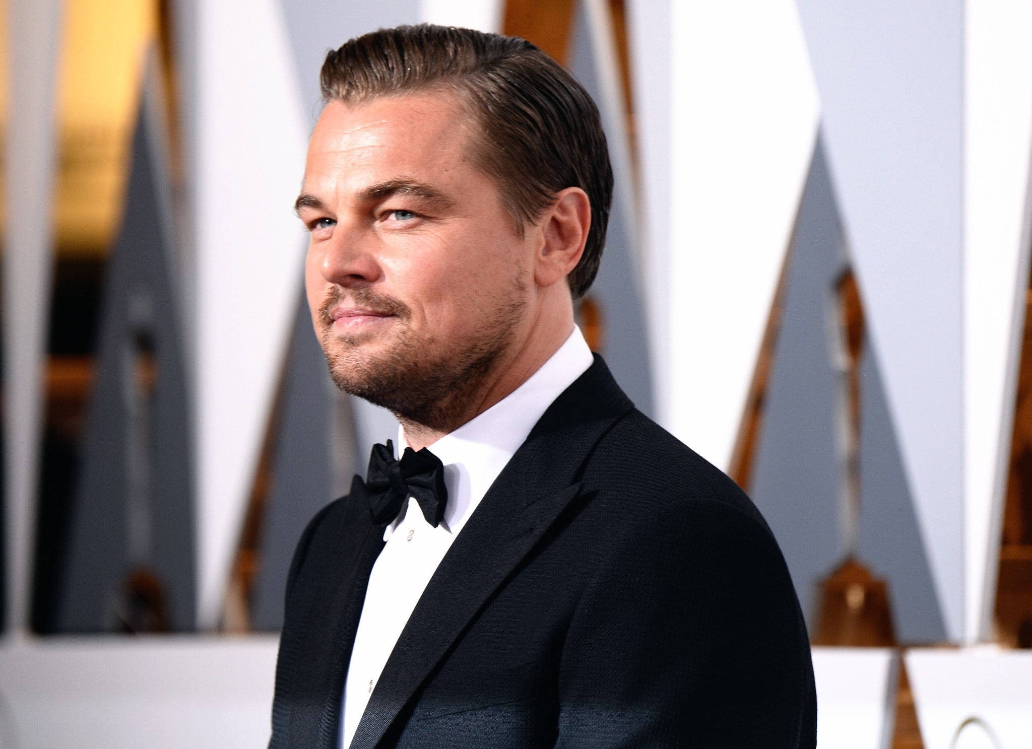 mature men, looking, focus on foreground, formalwear, portrait, confidence, businessman, one person, beautiful people, 2016, bow tie, tuxedo, Oscar, adult, HD Wallpaper
