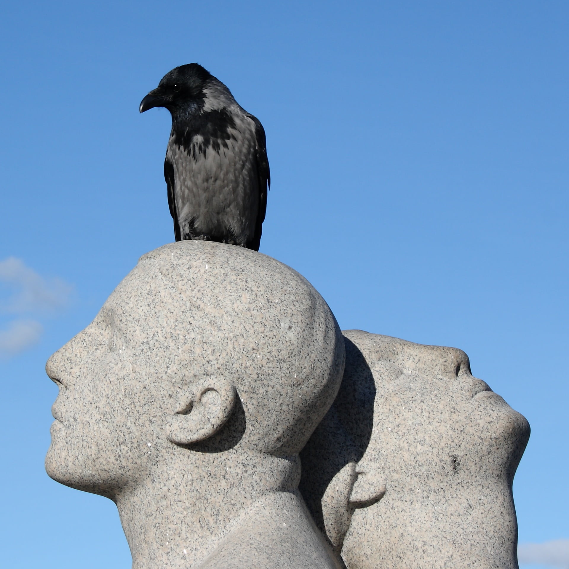 nature, outdoors, natural, vertebrate, art and craft, human representation, 1080P, animal themes, park, statue, norway, crow, perching, solid, sculpture, Phone HD Wallpaper