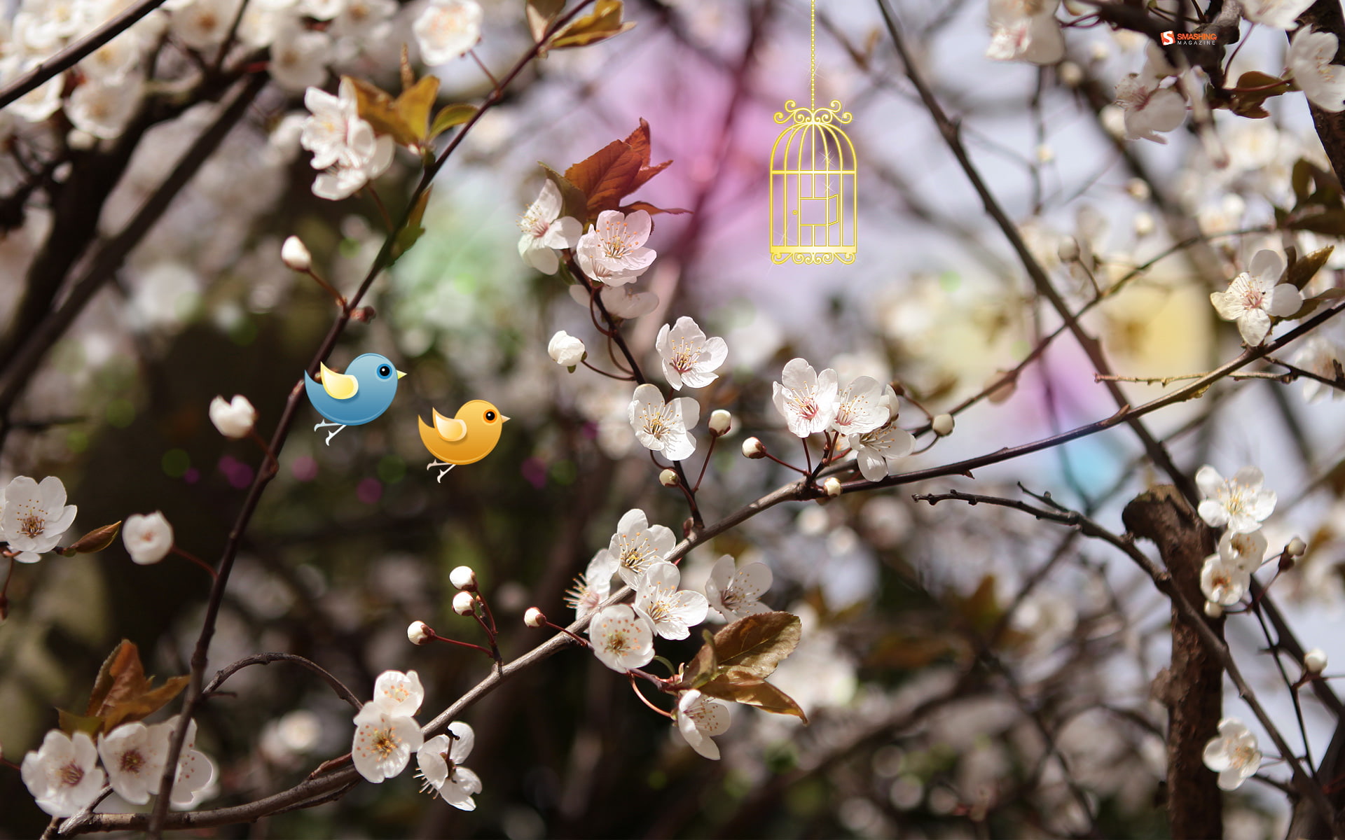 1080P, welcome, spring, HD Wallpaper