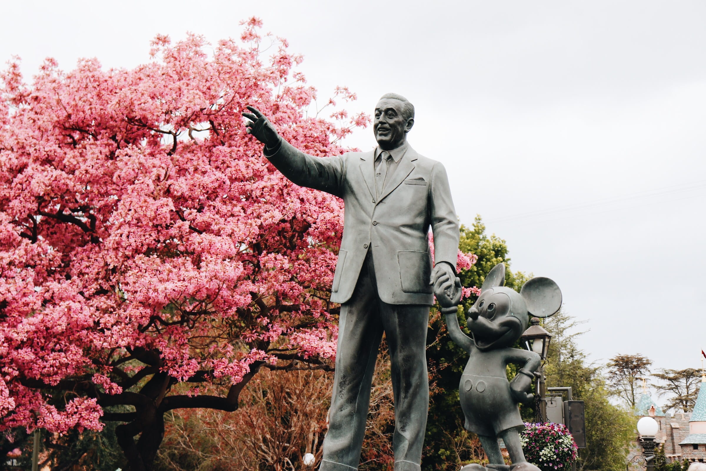day, mickey mouse, beauty in nature, springtime, disney, 1080P, cherry tree, flowering plant, plant, tree, sculpture, statue, human representation, lifestyles, HD Wallpaper