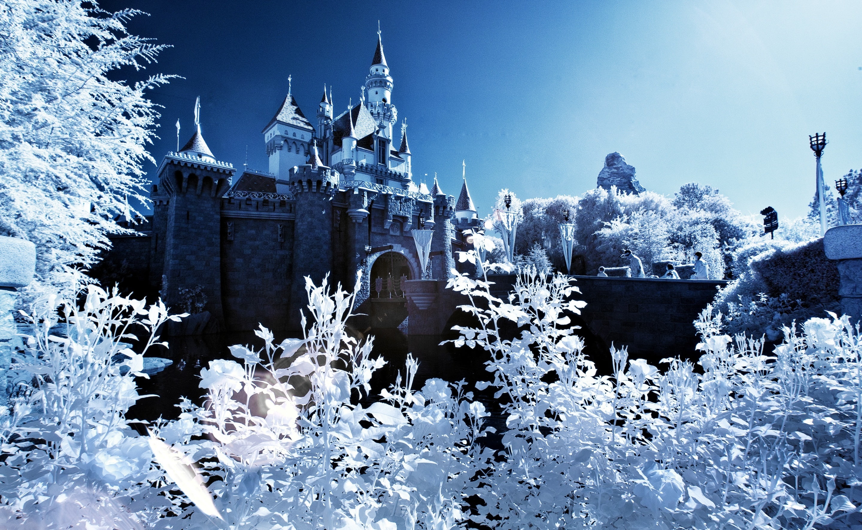 day, Artistic, White, cold temperature, architecture, 2K, illustration, snow, travel destinations, Castle, infrared, beauty, built structure, frozen, Winter, HD Wallpaper