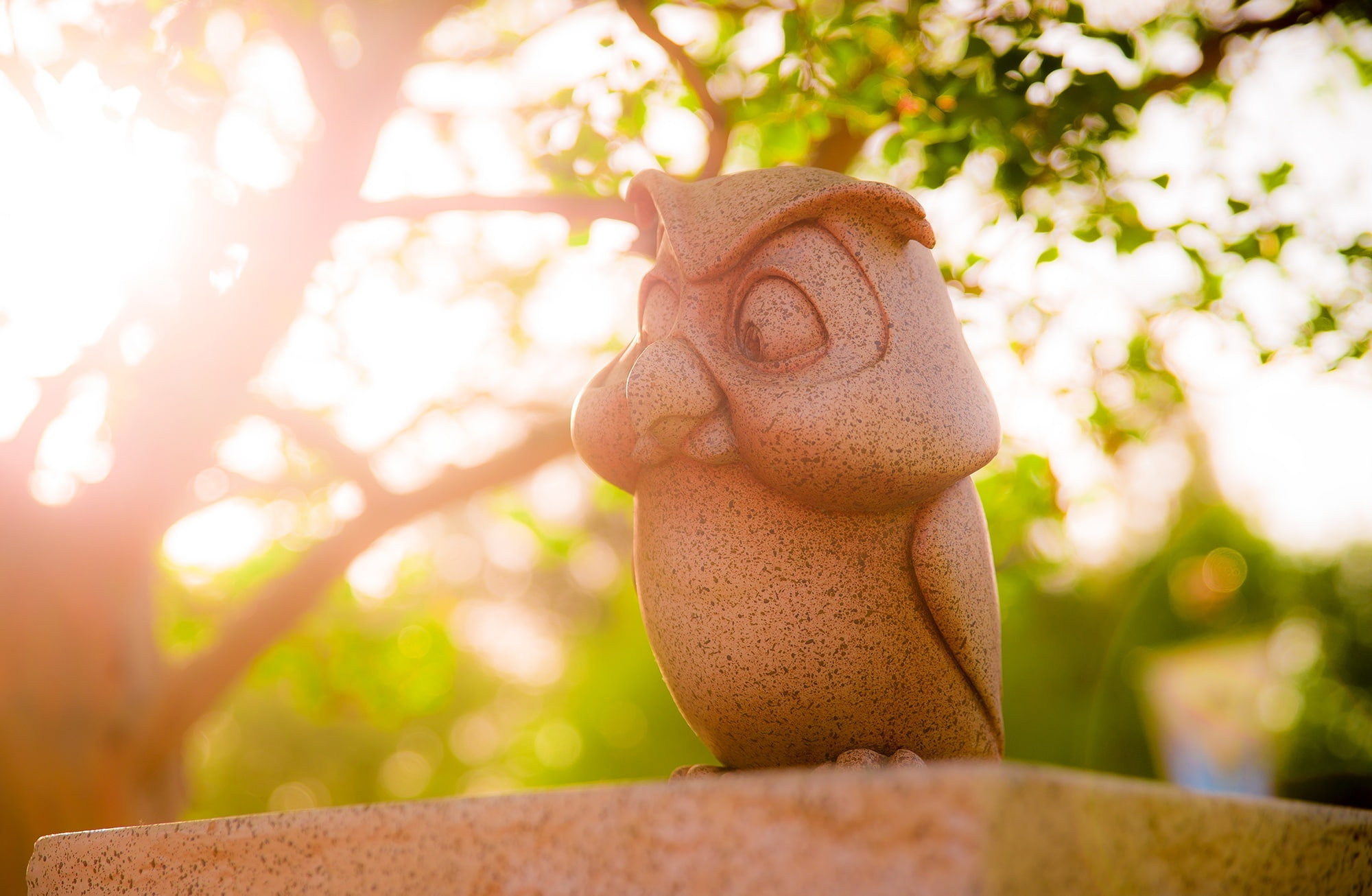 outdoors, toy, lens flare, brown, plant, sunlight, Sleeping Beauty Castle, no people, craft, day, wooden, owl, human representation, statue, representation, HD Wallpaper