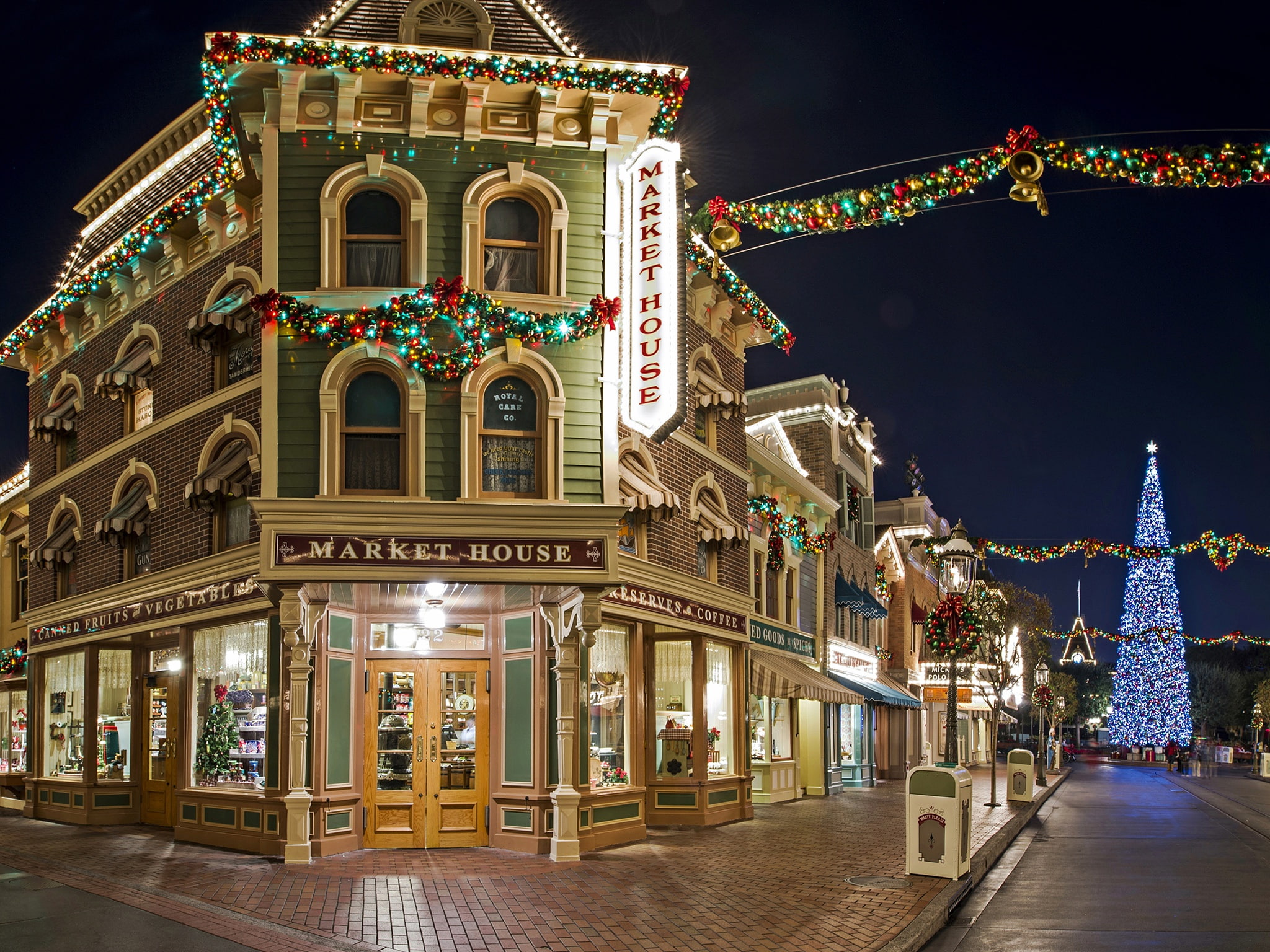 Anaheim, Park, tree, Disneyland, 1080P, garland, California, street, new year, CA, HD Wallpaper