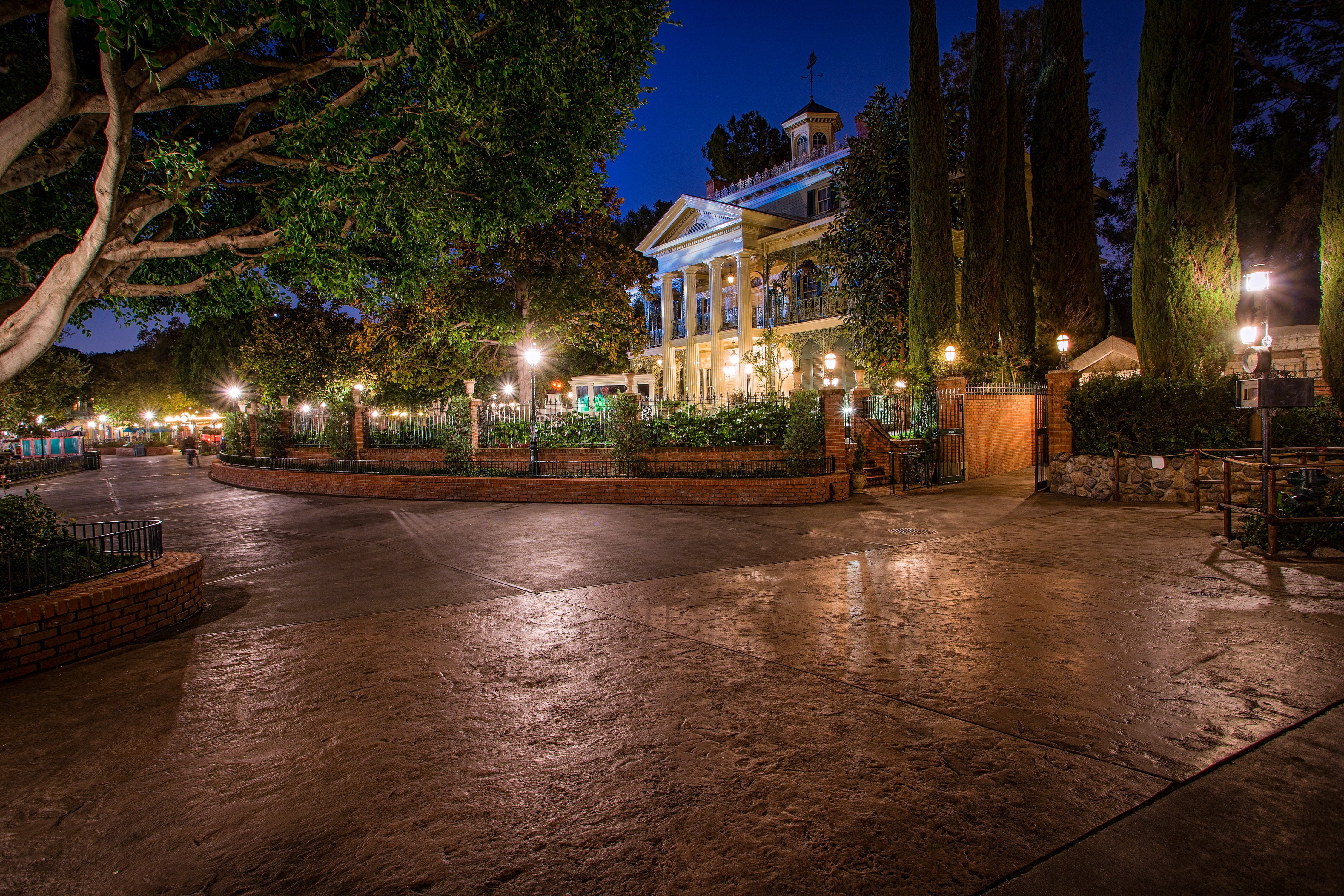 hdr, california, houses, 4K, anaheim, trees, usa, disneyland, design, lights, cities, parks, street, night, HD Wallpaper