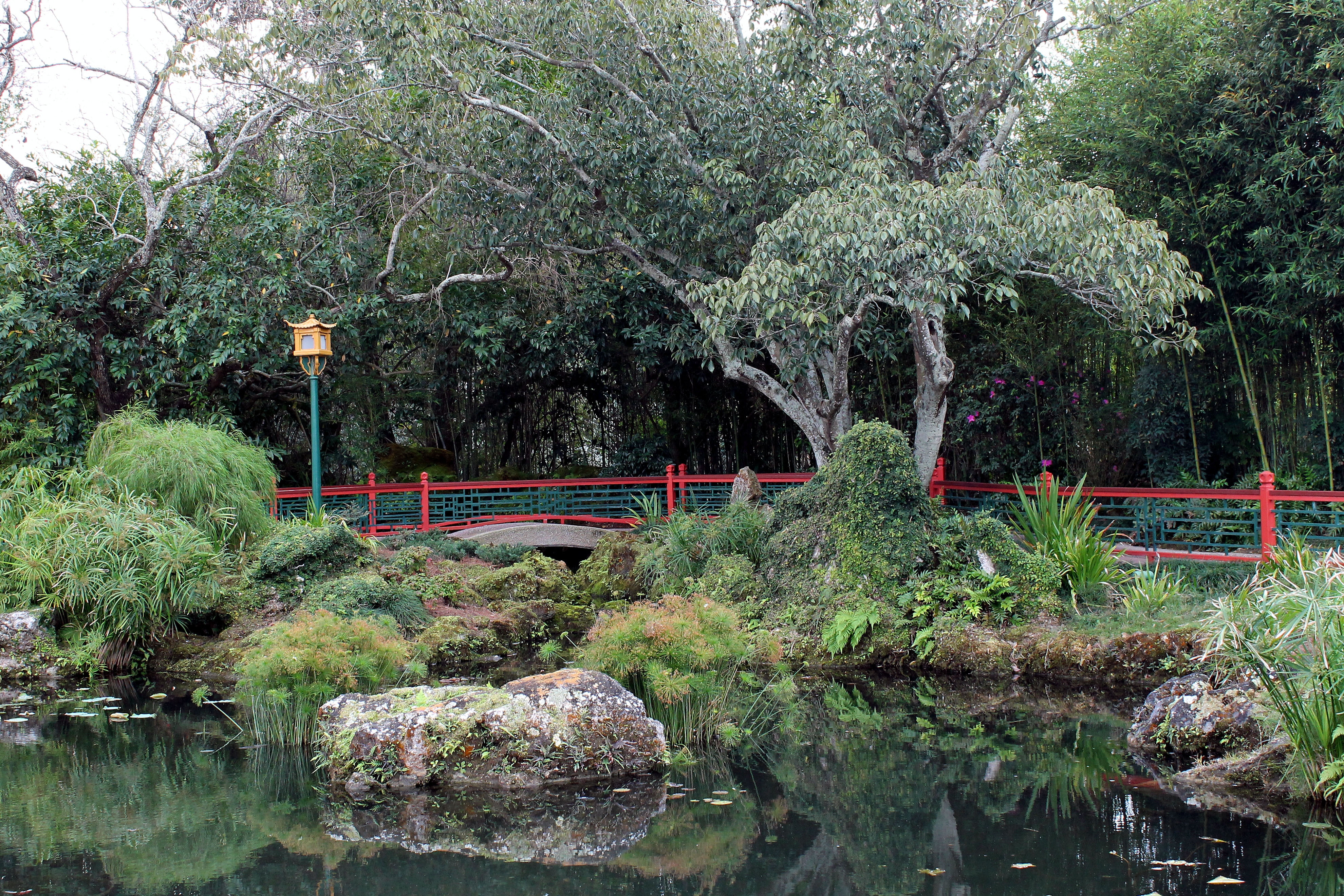 japanese Garden, tranquil Scene, no people, nature, tranquility, japanese Culture, ornamental Garden, rock, pond, body, day, growth, landscape, park - Man Made Space, HD Wallpaper