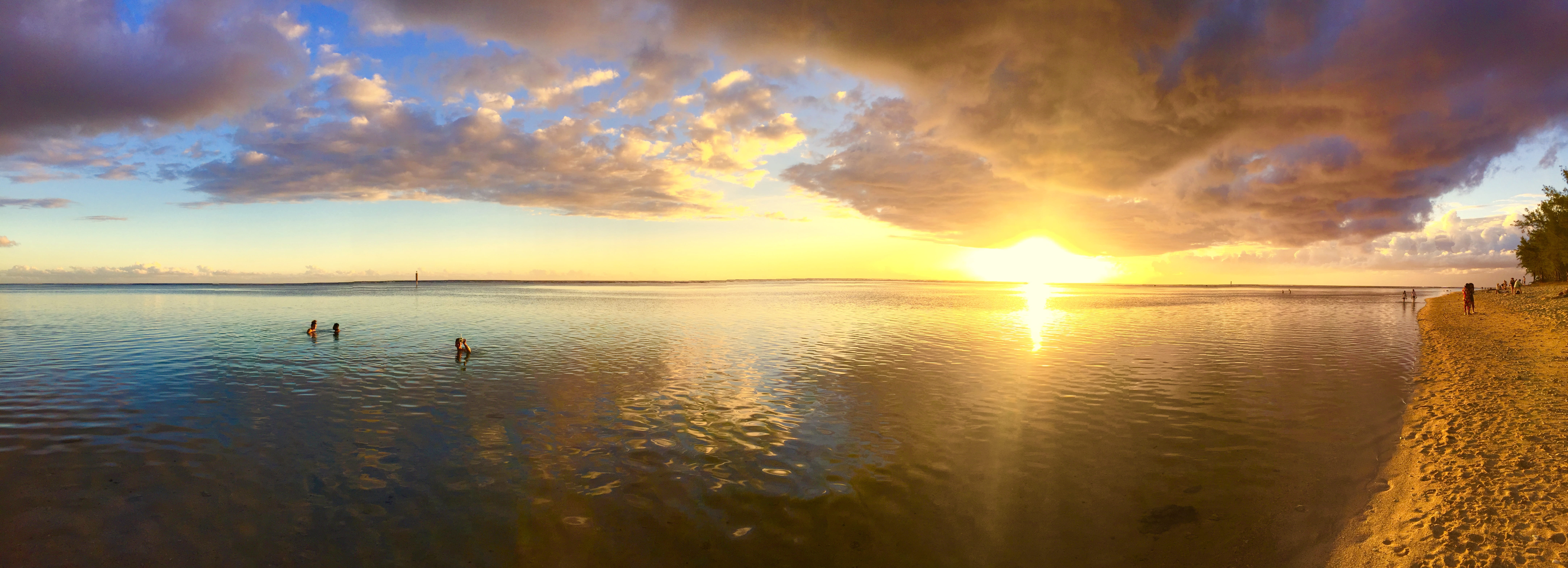 reflection, sea, saint-gilles, travel destinations, scenics - nature, 8K, outdoors, horizon over water, animal themes, animal, beach, sky, reunion, horizon, HD Wallpaper