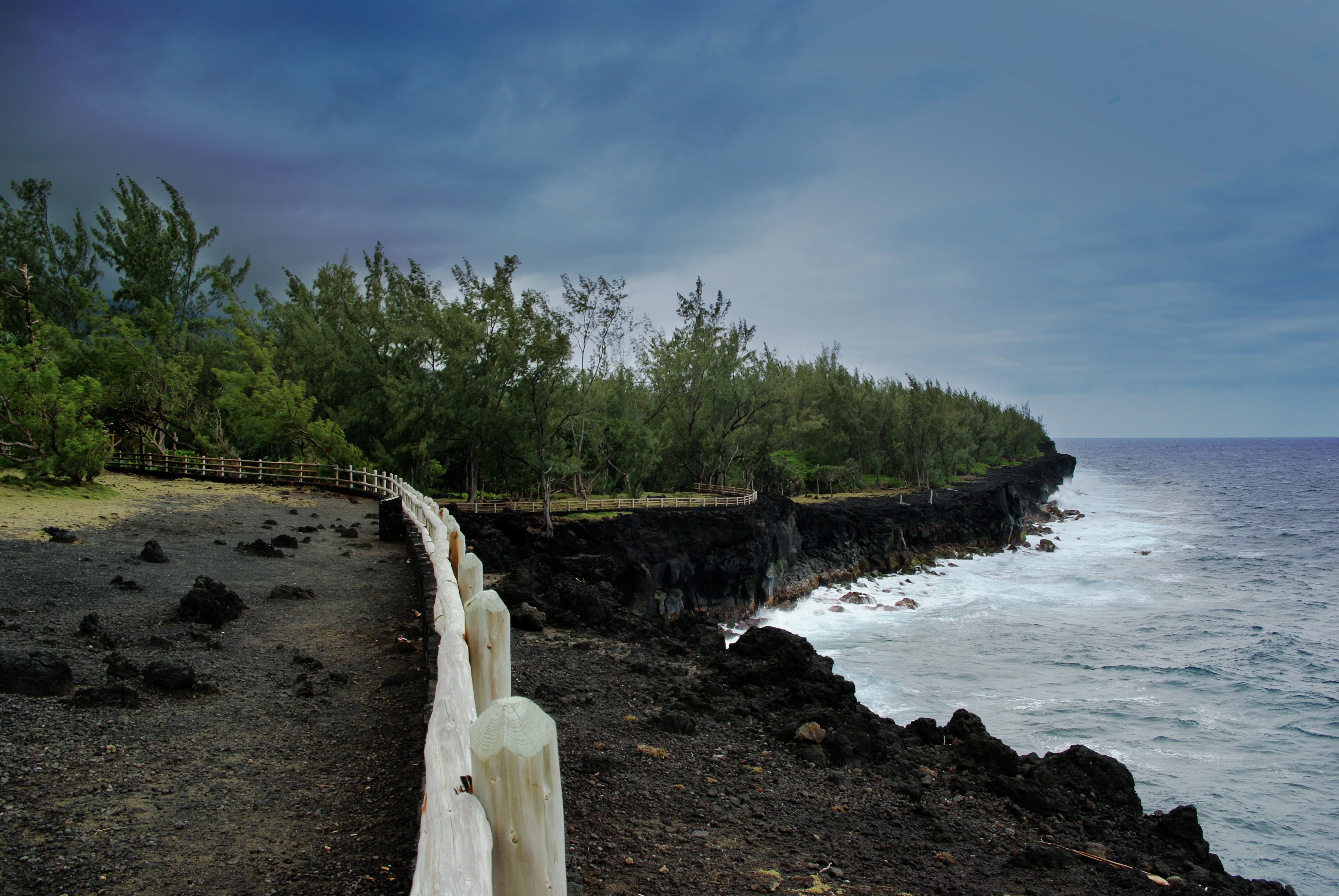 landscape, tree, horizon over water, outdoors, indian ocean, ocean, 4K, scenics - nature, day, driftwood, rock, nature, beauty in nature, tranquility, HD Wallpaper