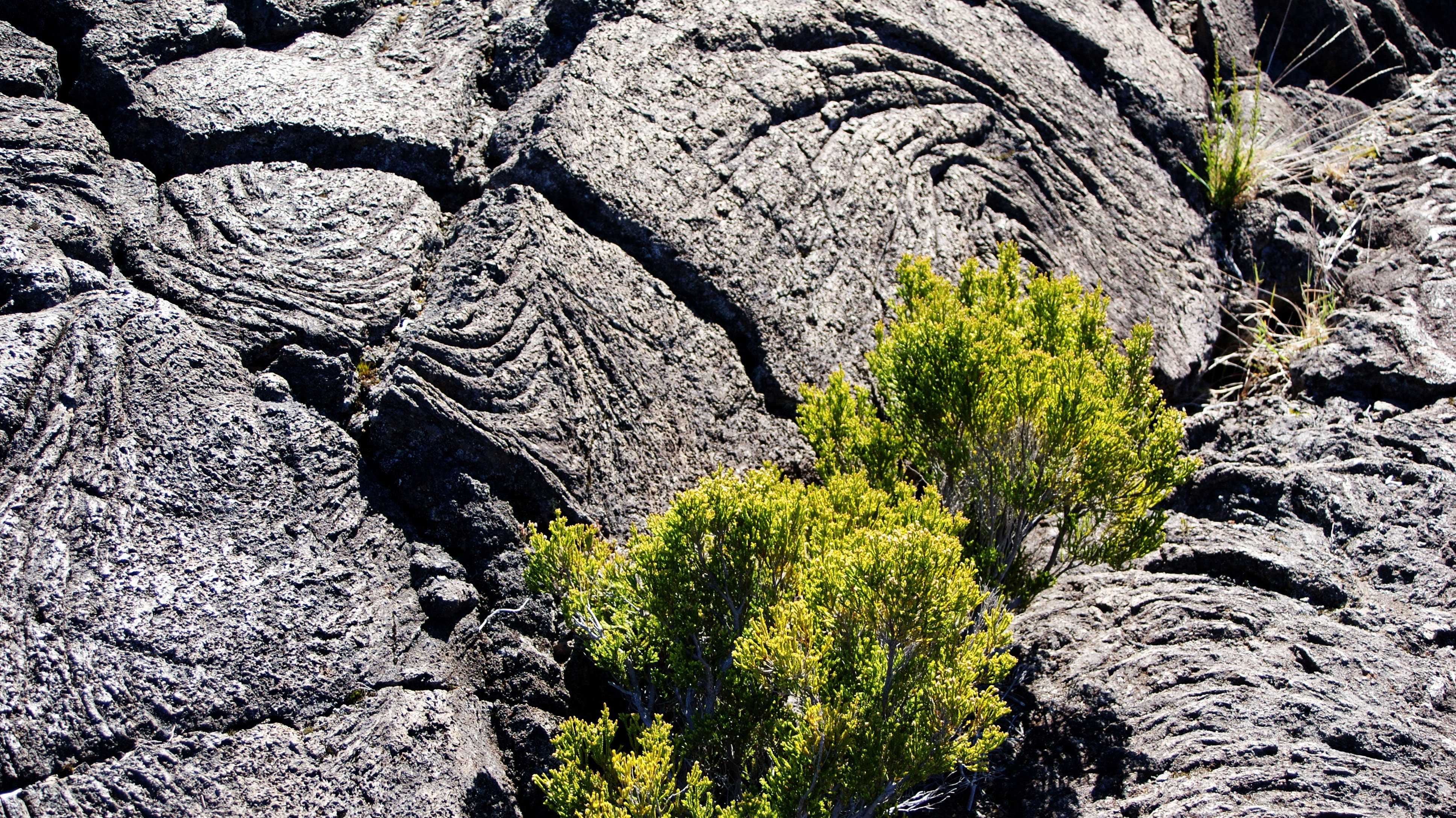 day, formation, tranquility, 4K, eroded, endemic, geology, rock - object, bush, beauty in nature, sunlight, solid, land, textured, inflamed, mountain, HD Wallpaper