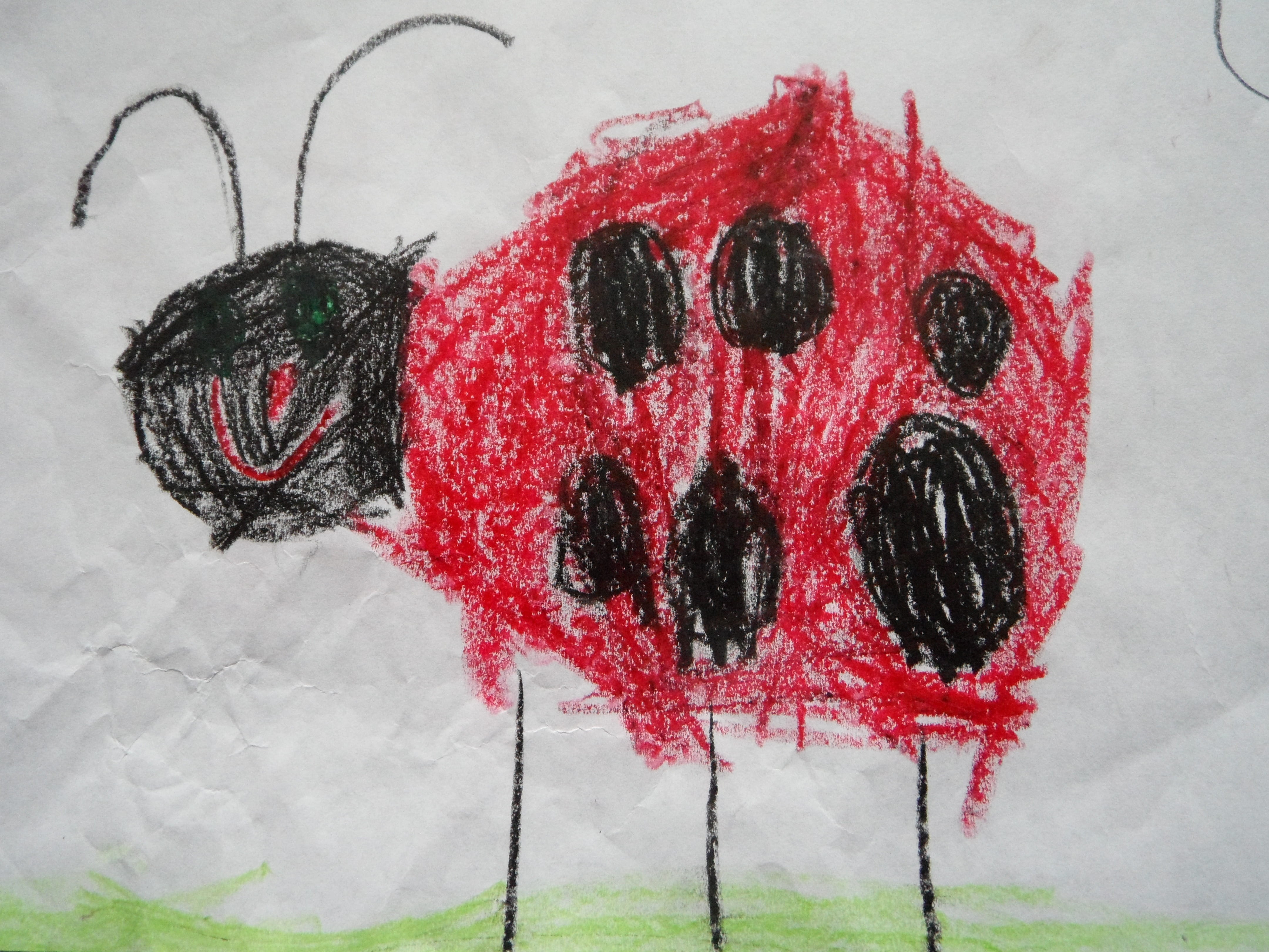 paint, mammal, red, day, snow, celebration, luck, christmas, ladybug, indoors, child, art and craft, directly above, drawing, lucky ladybug, representation, HD Wallpaper