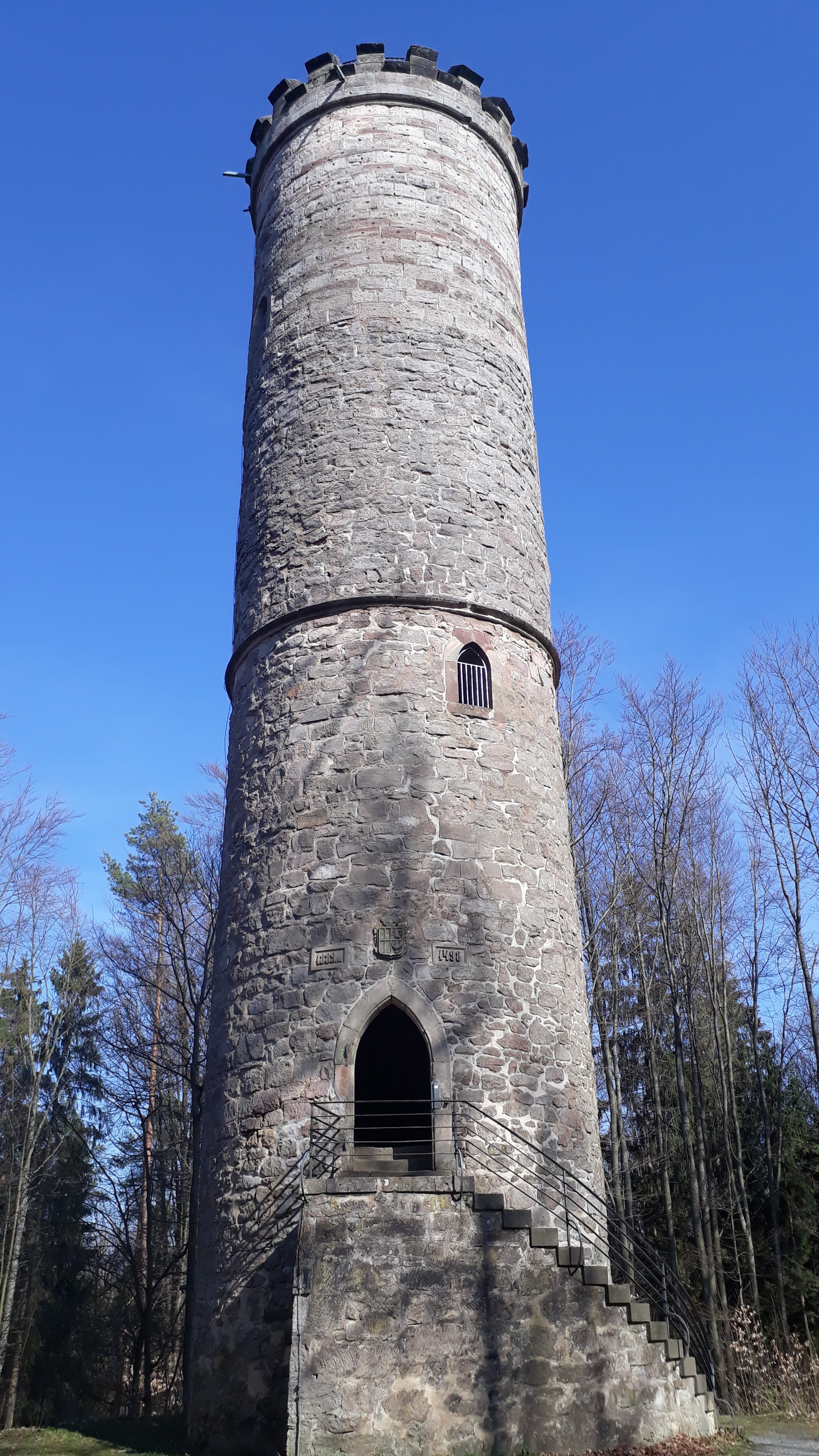 history, tall - high, nature, architecture, bare tree, historically, clear sky, building exterior, swiss francs, rapunzel, old, low angle view, no people, Phone HD Wallpaper