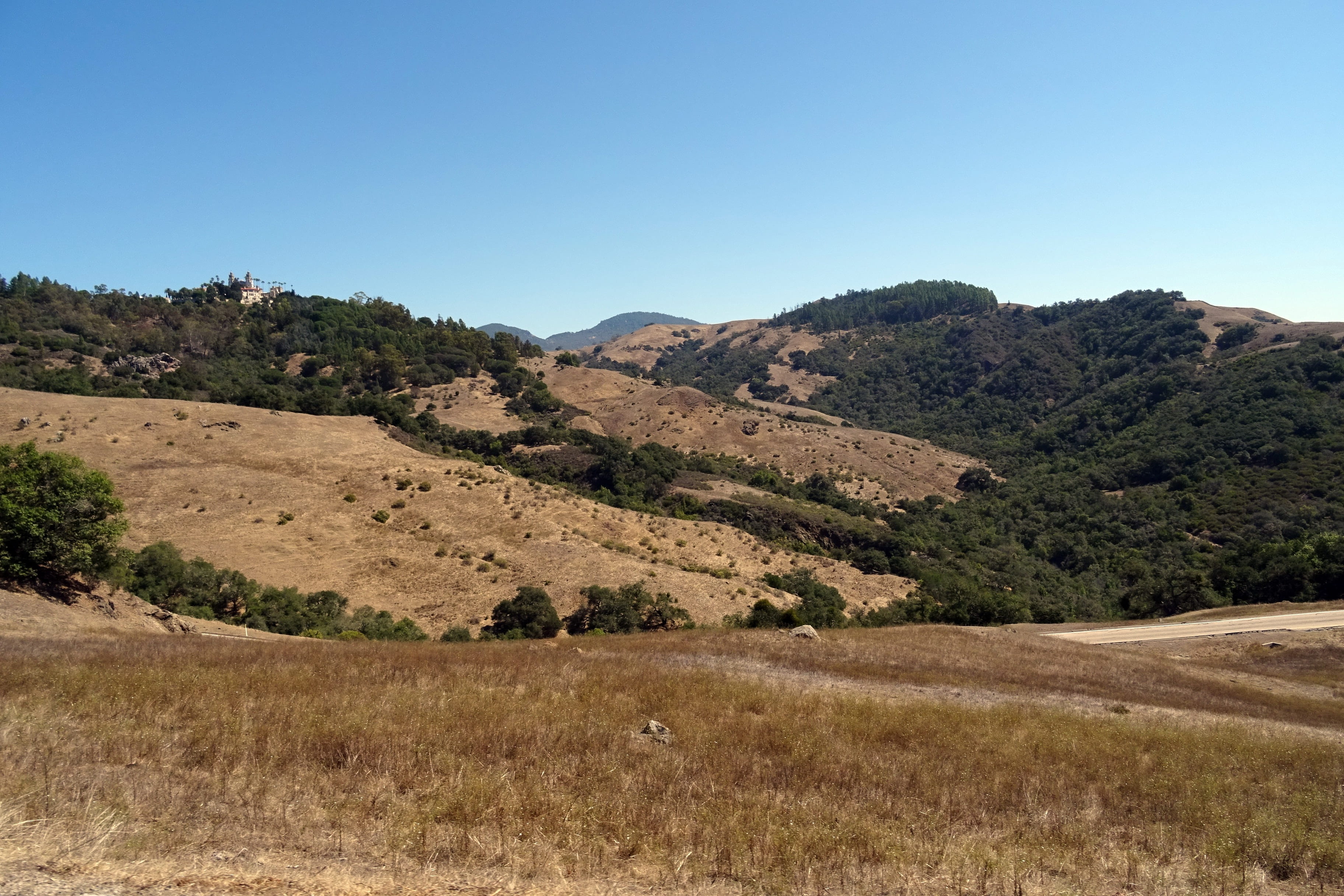 scenics - nature, land, sky, no people, grass, coast, view, nature, mountain, mediterranean, tranquility, usa, ranch, hearst castle, forest, beauty in nature, HD Wallpaper