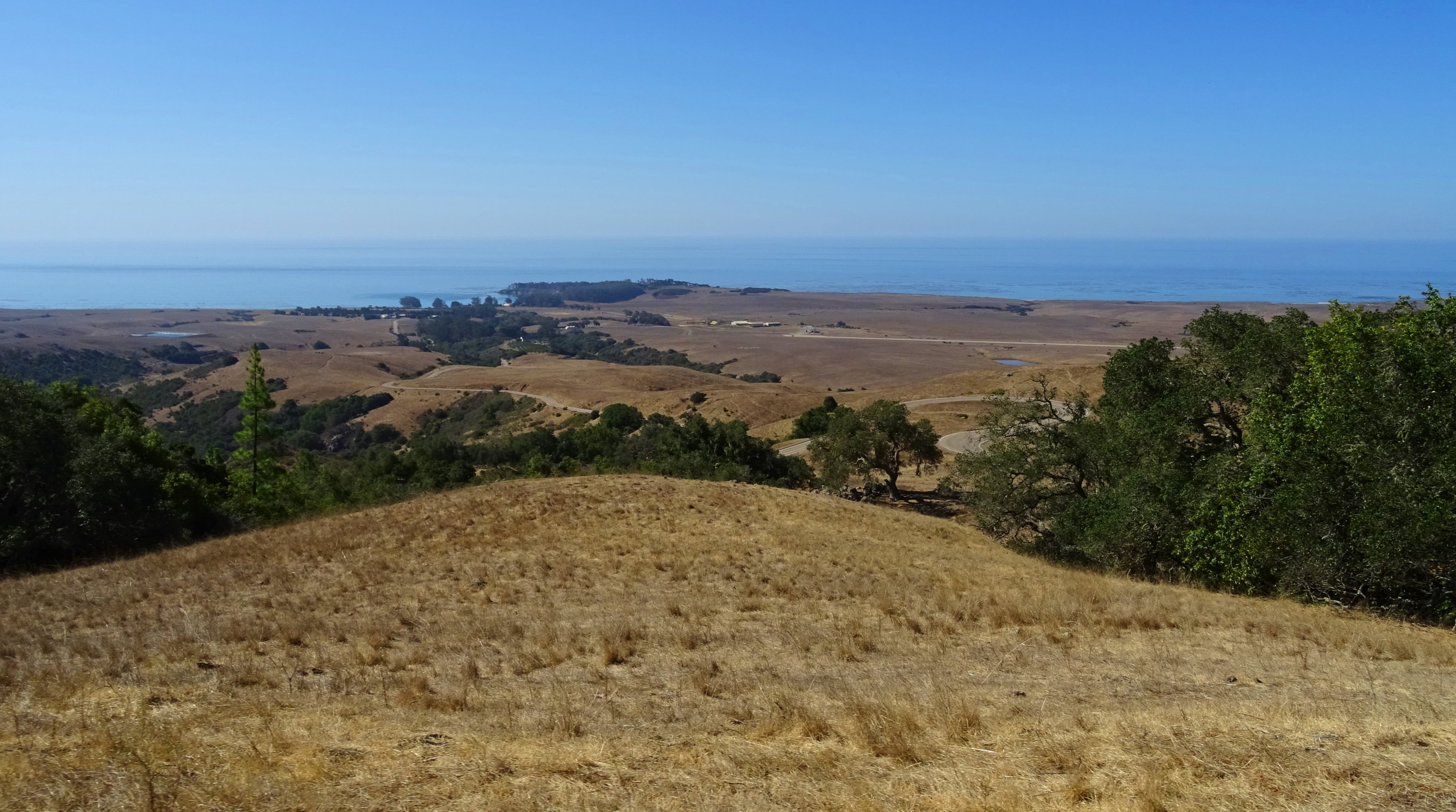 usa, tranquility, pacific, hearst castle, scenics - nature, non-urban scene, beach, plant, tree, coast, land, sea, ranch, sky, water, landscape, nature, HD Wallpaper