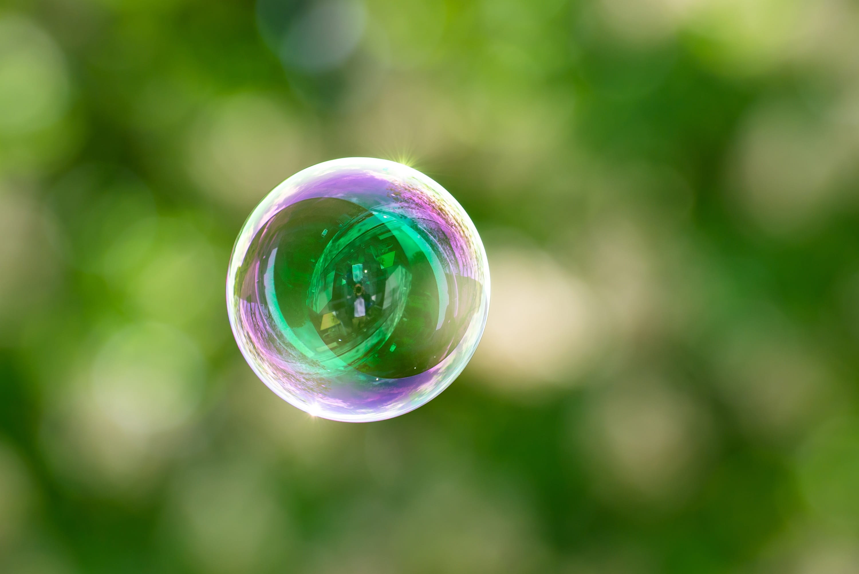 close-up, circle, soap bubble, transparent, children, shape, green color, day, blow, 2K, lightweight, childrens, toys, garden, fragility, play outside, HD Wallpaper