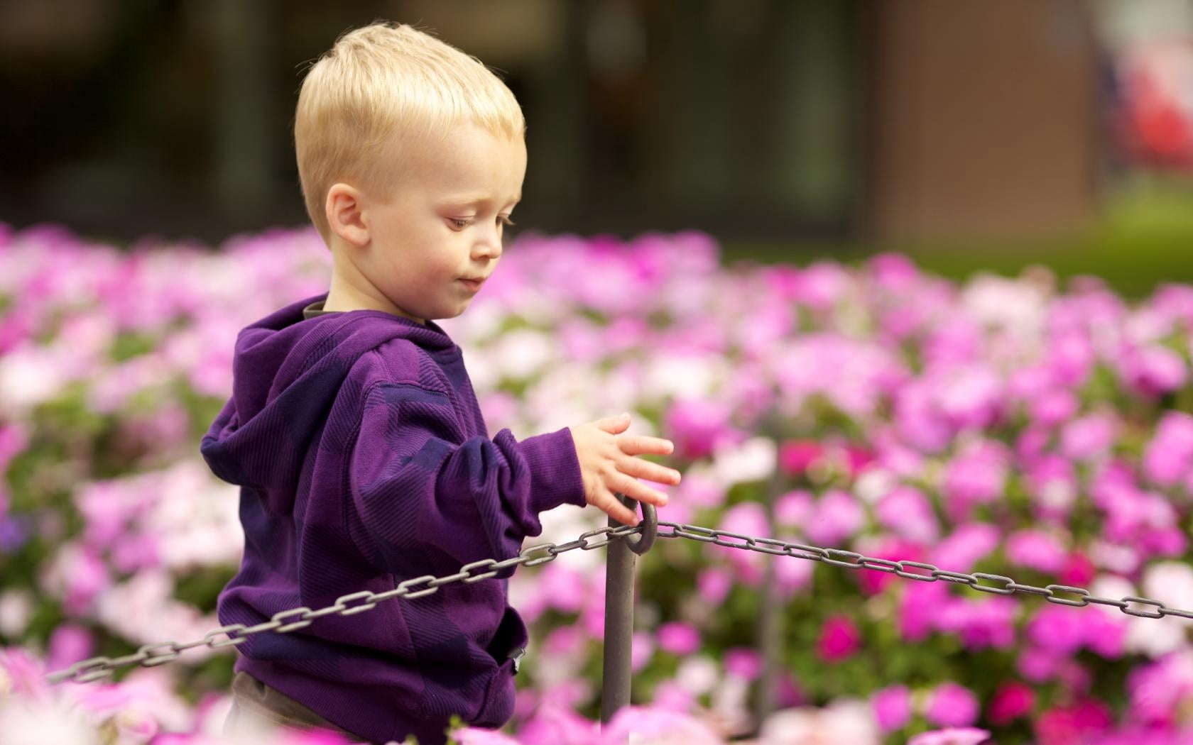 portrait, park - Man Made Space, child, playing, nature, flowers, one Person, mood, fun, smiling, flowering plant, boy, toddler, pink, children, plant, HD Wallpaper