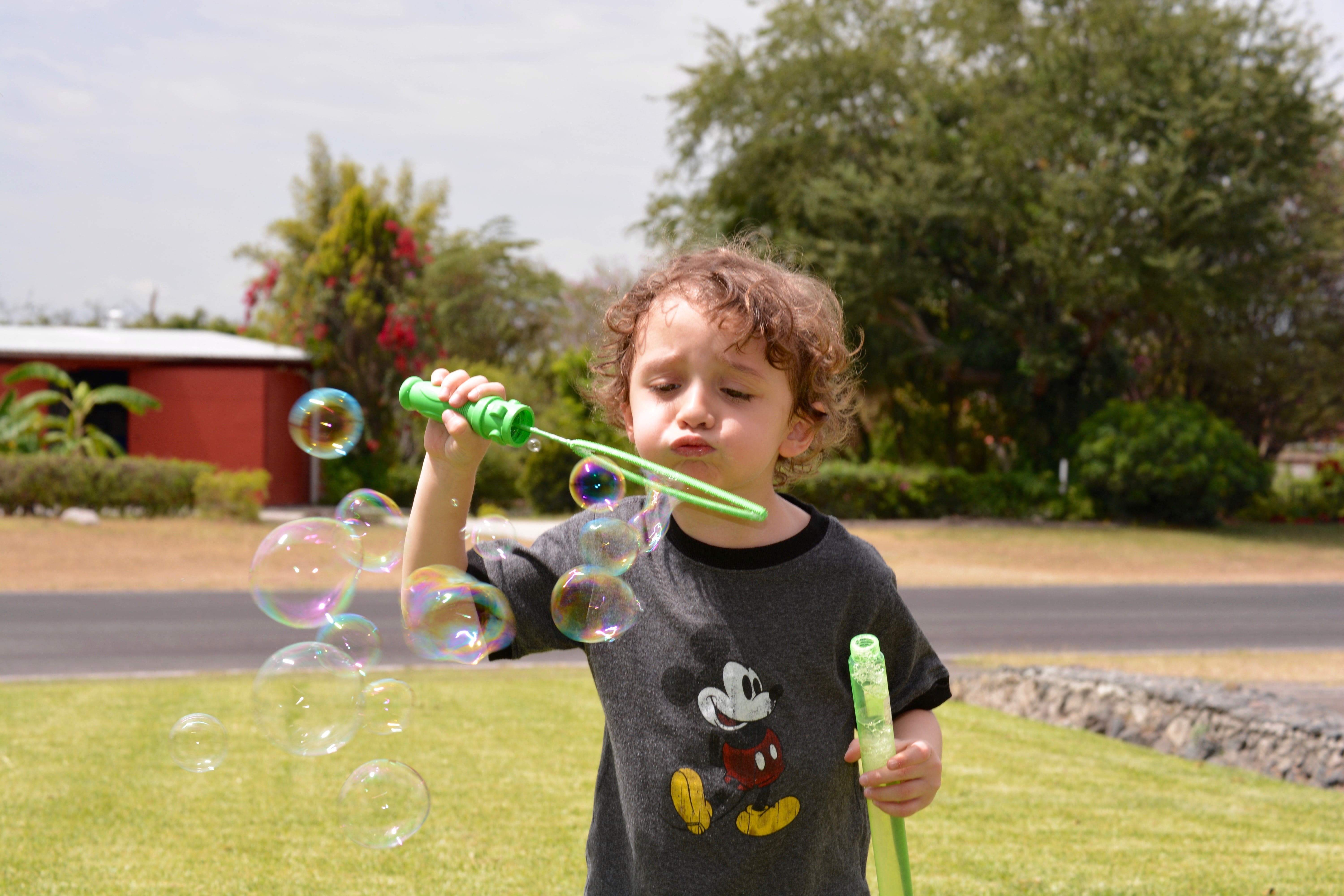 standing, men, innocence, plant, one person, people, outdoors, day, boys, males, fun, offspring, joy, blowing, casual clothing, 5K, bubbles, cheerful, HD Wallpaper