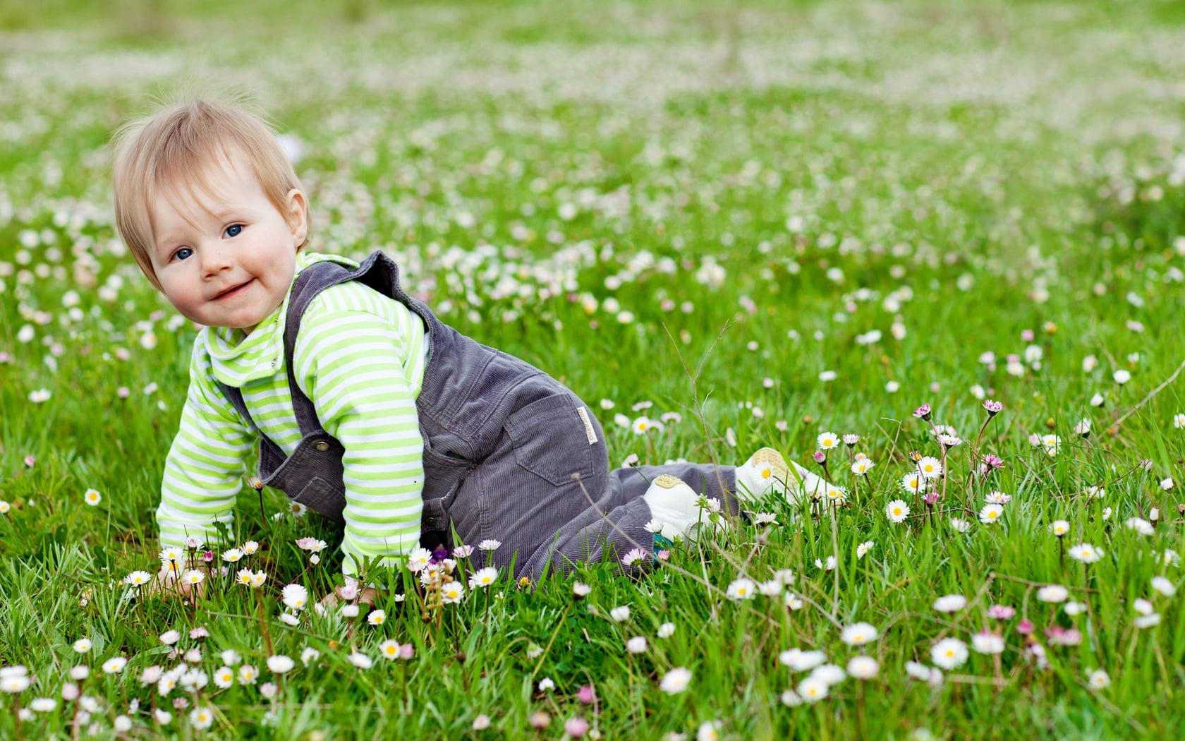 smiling, 720P, innocence, full length, white, flower, flowers, happy, girl, outdoors, green, selective focus, lovely, child, day, Baby, one person, flowering plant, HD Wallpaper