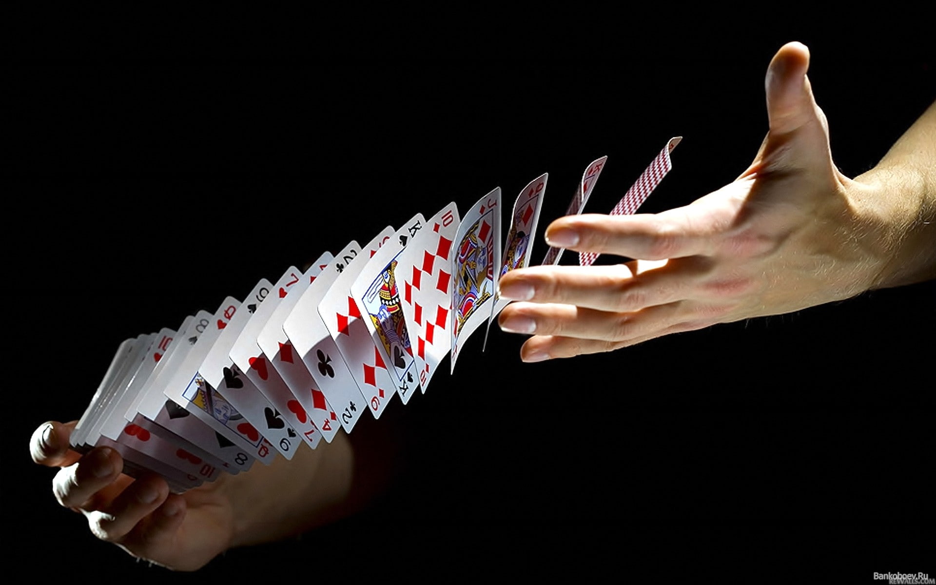 magician, guy, 1080P, conjurer, hands, cards, HD Wallpaper