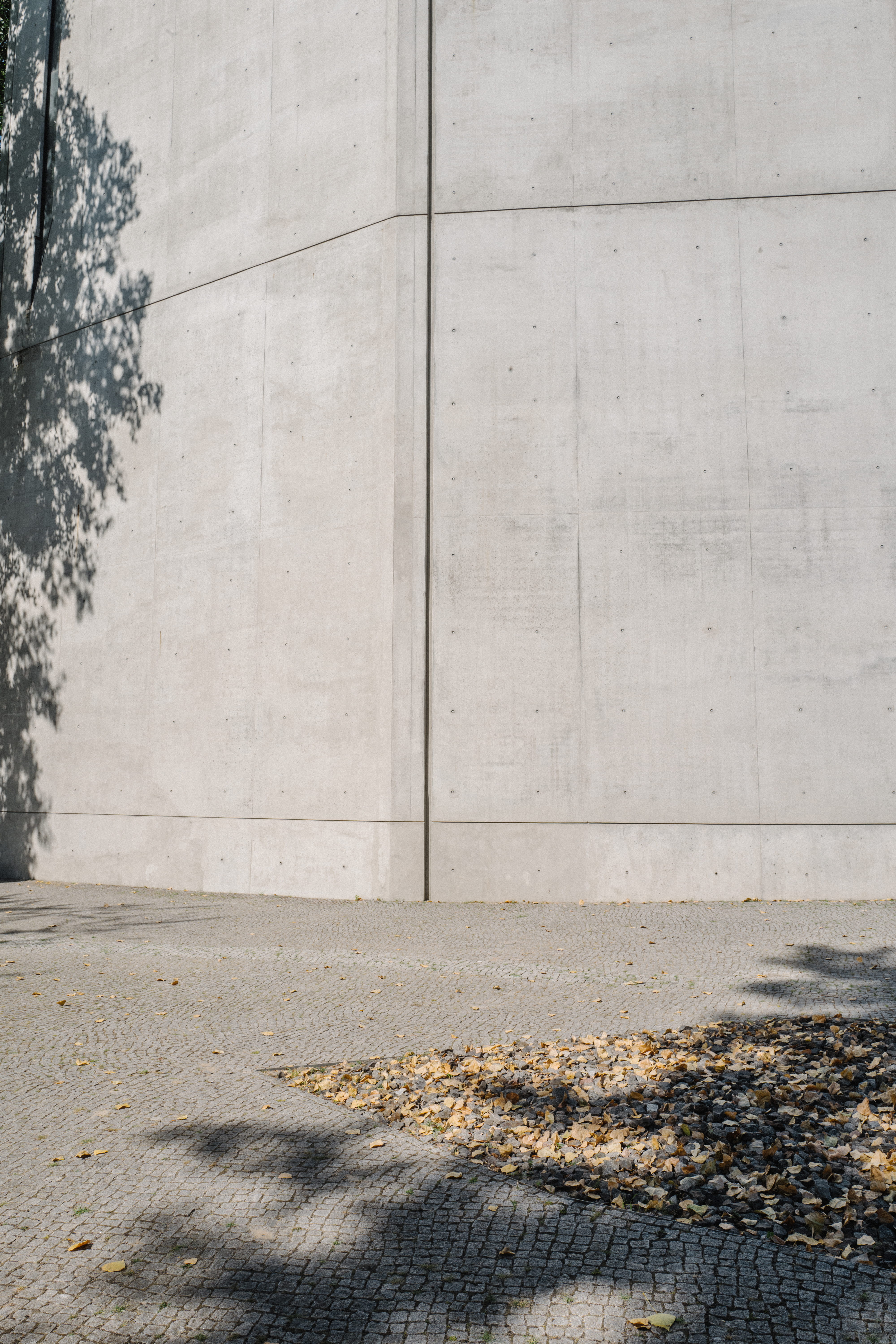wall, concrete, outdoors, berlin, road, day, 5K, footpath, architecture, wall - building feature, pattern, white, shadow, minimal, plant, gray, built structure, Phone HD Wallpaper