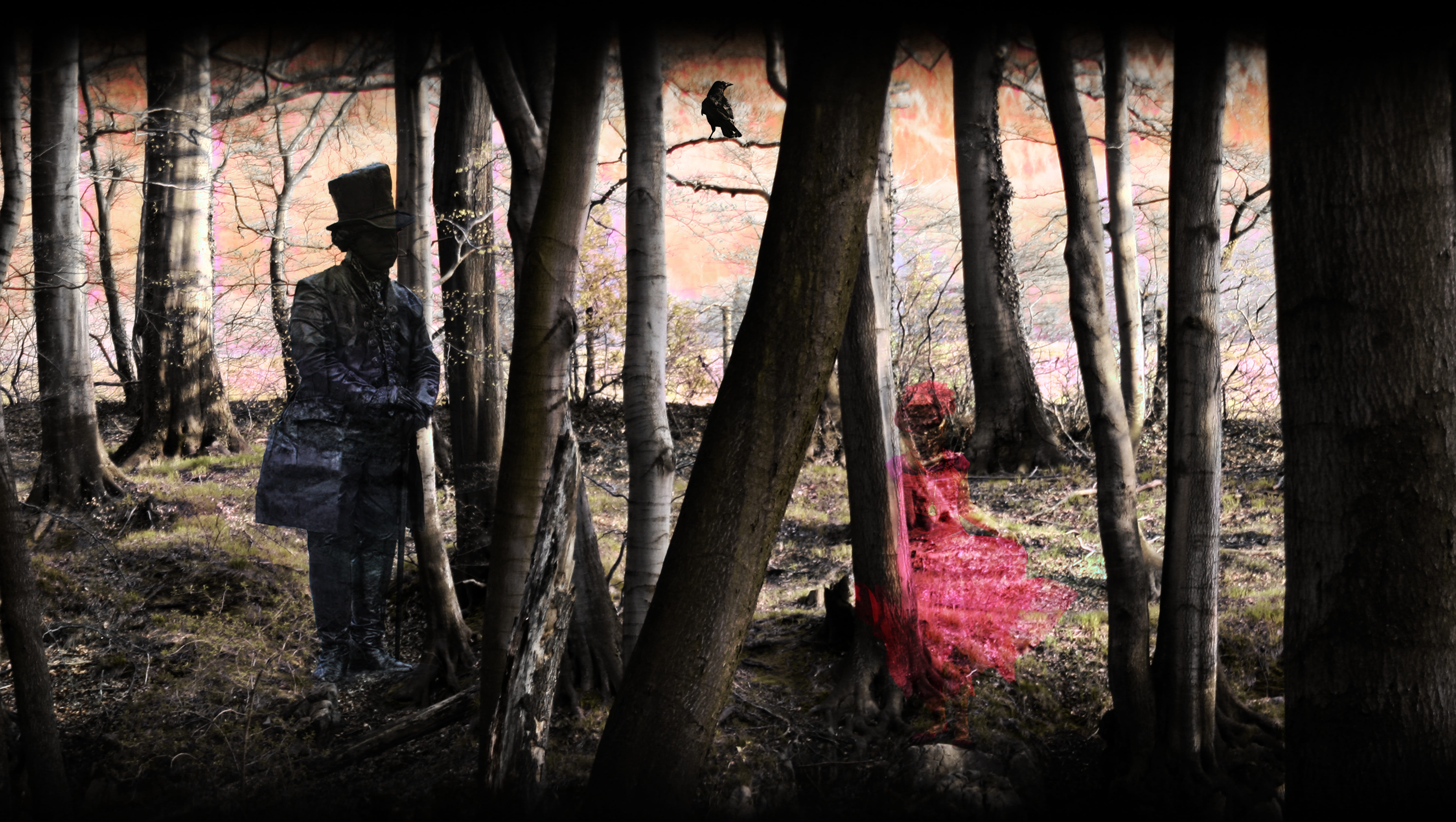 lifestyles, tree, trunk, spooky, ghost, auto post production filter, tranquility, fear, transfer print, mystical, woodland, one man only, person, forest, HD Wallpaper