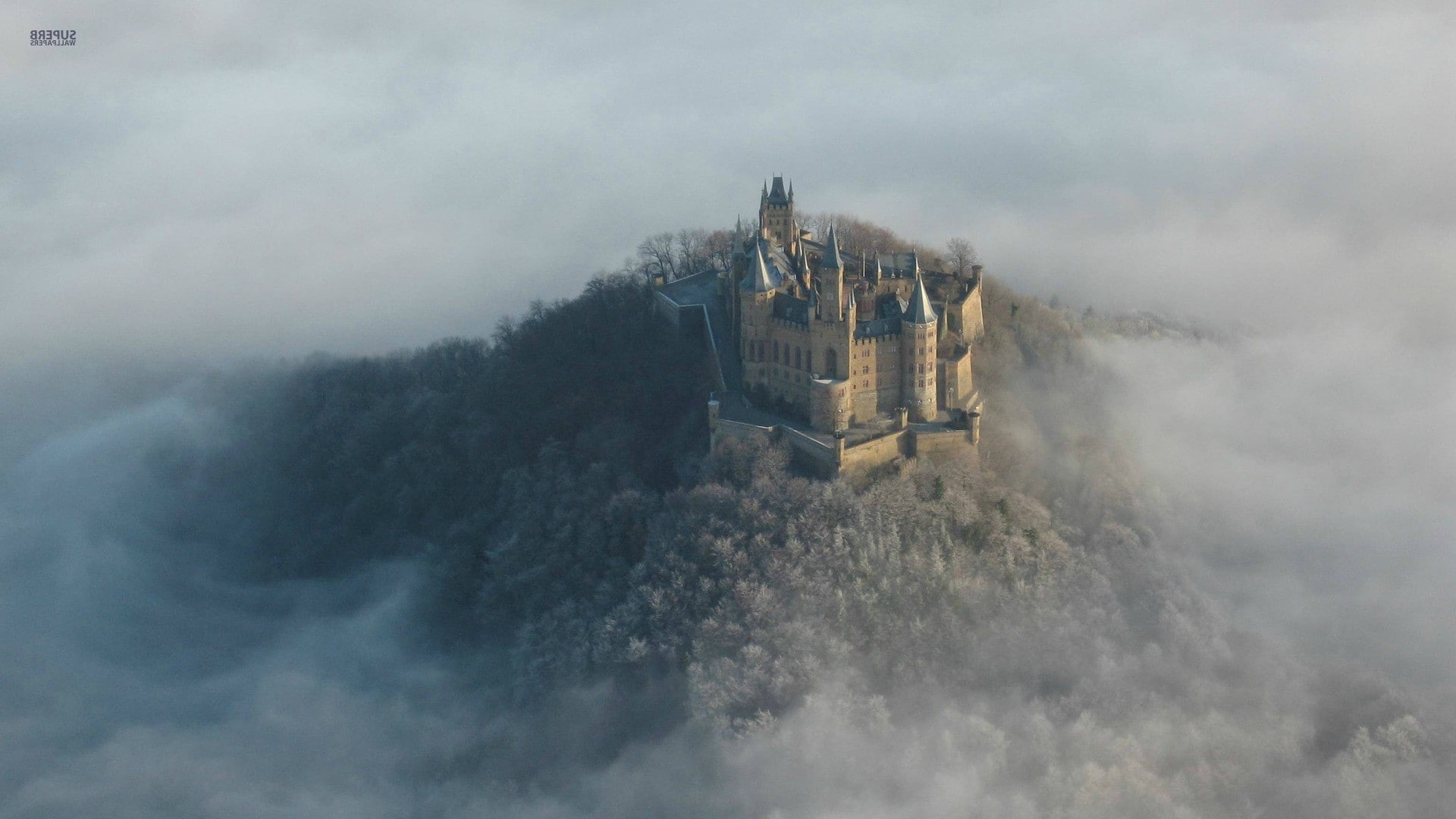 castle, forest, Hohenzollern, Germany, 1080P, mist, HD Wallpaper
