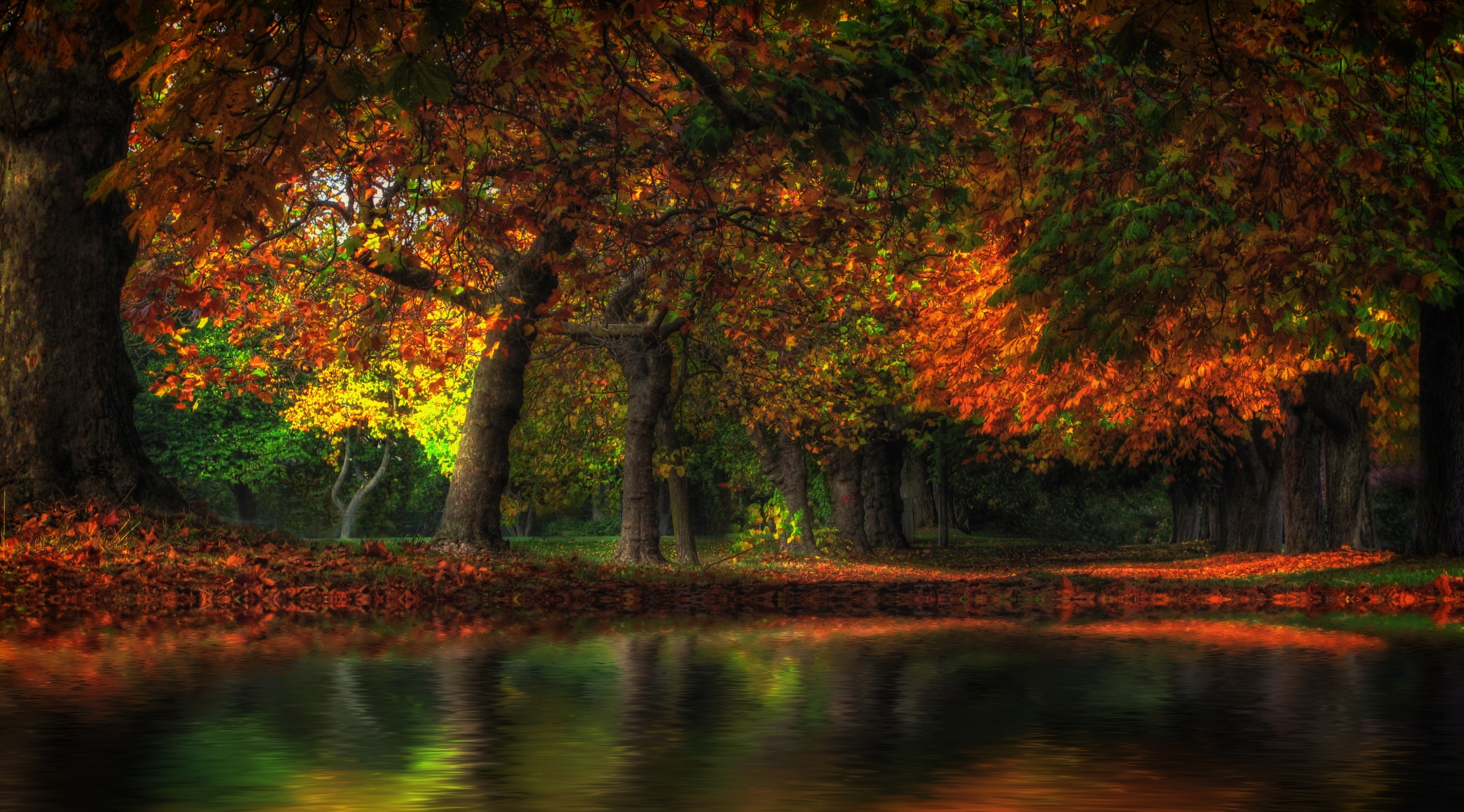 2K, tranquil scene, plant, orange color, nature, Seasons, water, Pond, land, sesonal, Flood, brown, Photoshop, green, reflection, tree, forest, photomanipulation, HD Wallpaper
